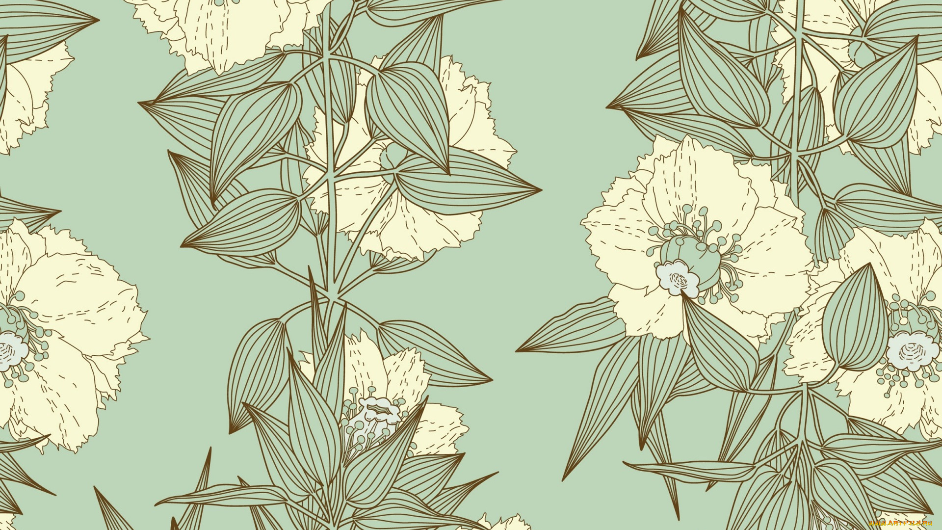 векторная, графика, цветы, , flowers, цветы