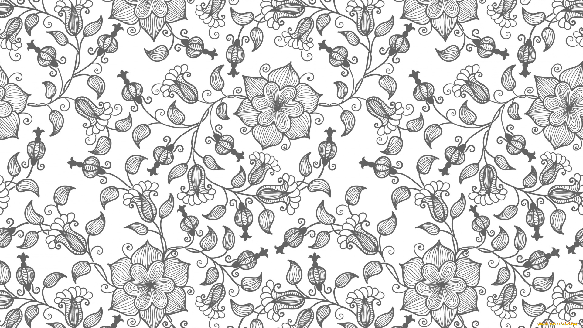 векторная, графика, цветы, , flowers, текстура, цветы, вектор, узор