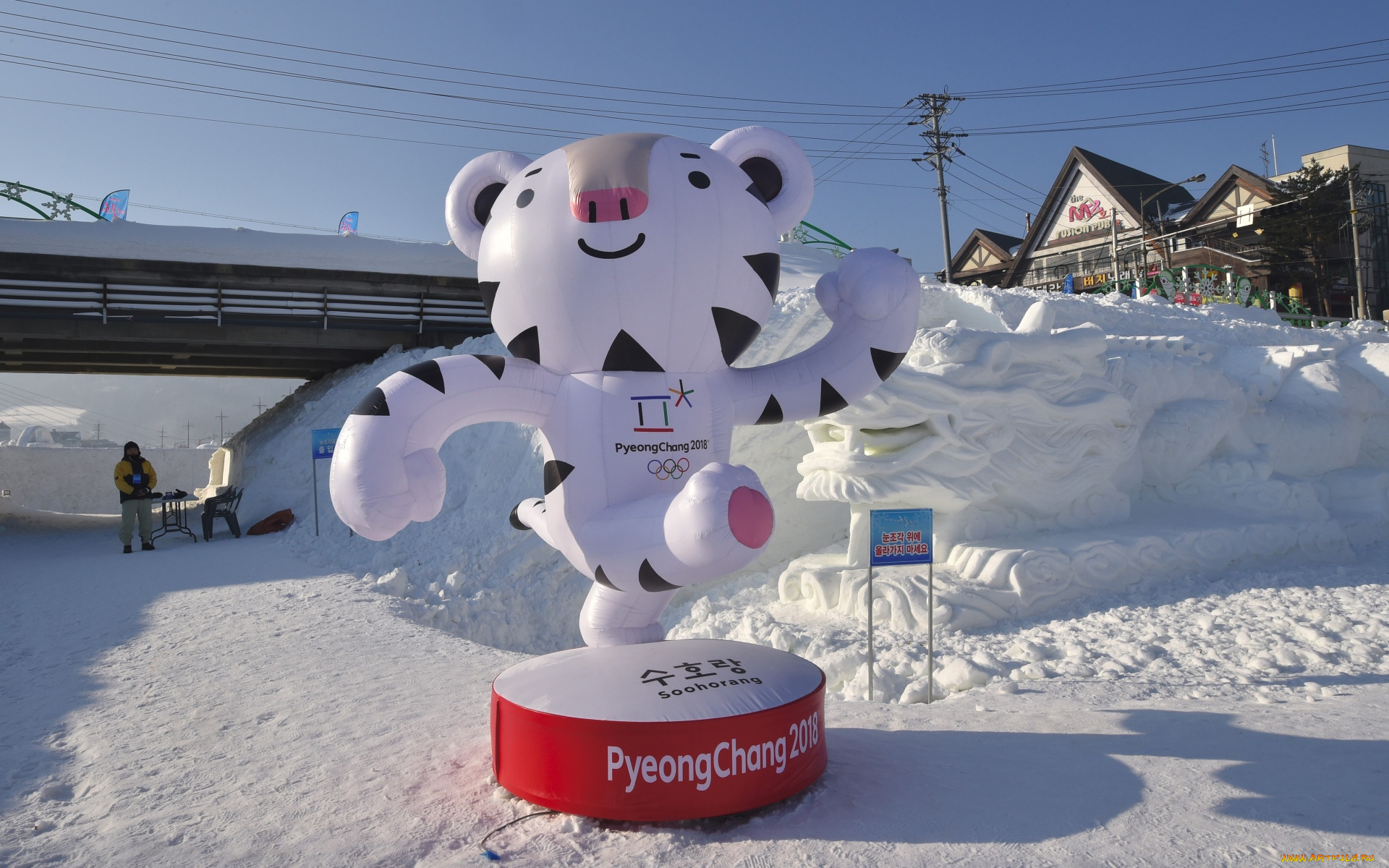 спорт, логотипы, турниров, талисман, зимних, олимпийских, игр, 2018, тигр, сухоран