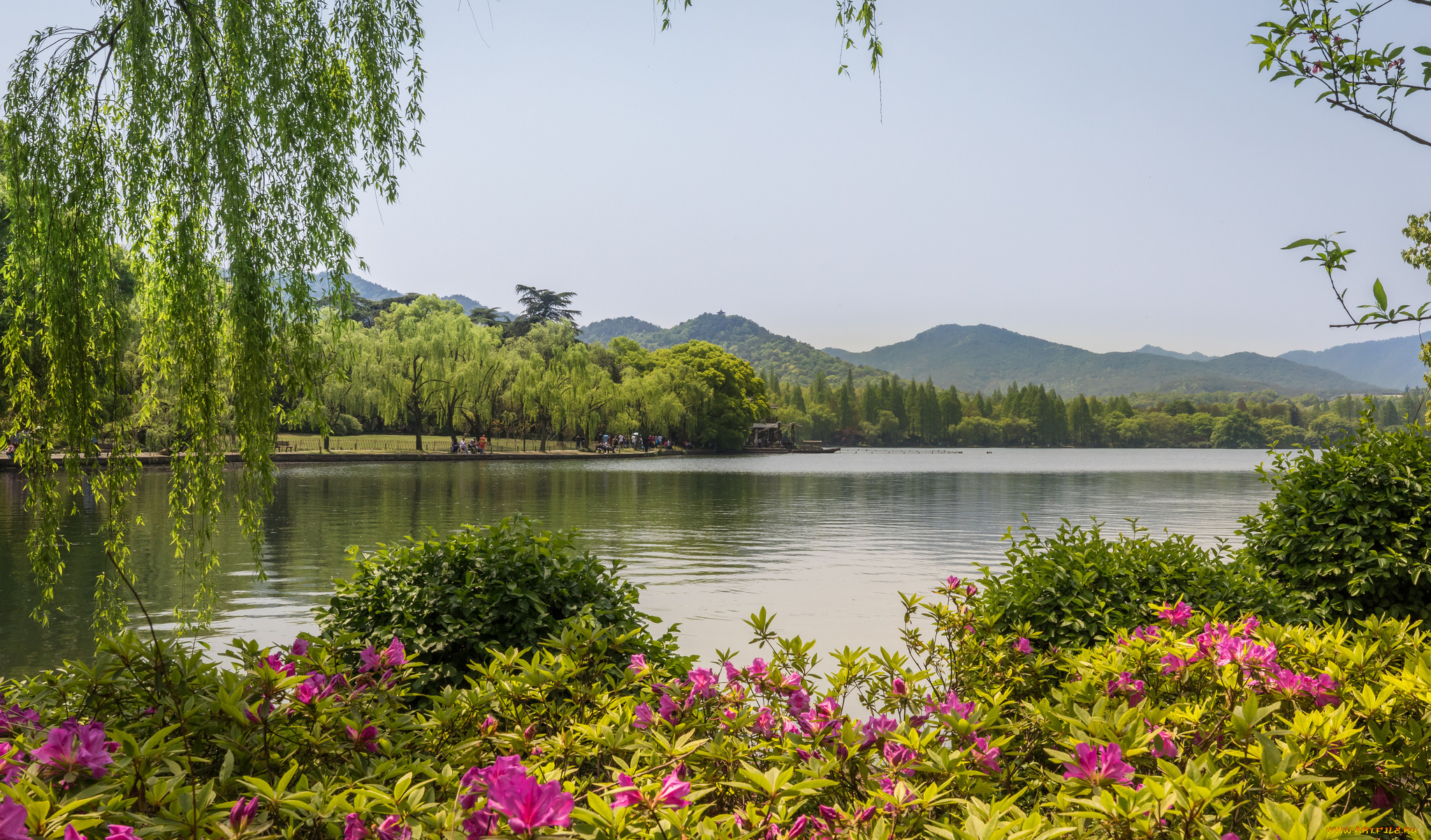 природа, реки, озера, простор