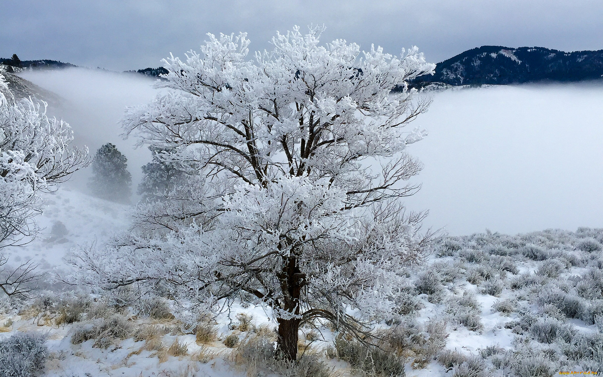 природа, зима, простор