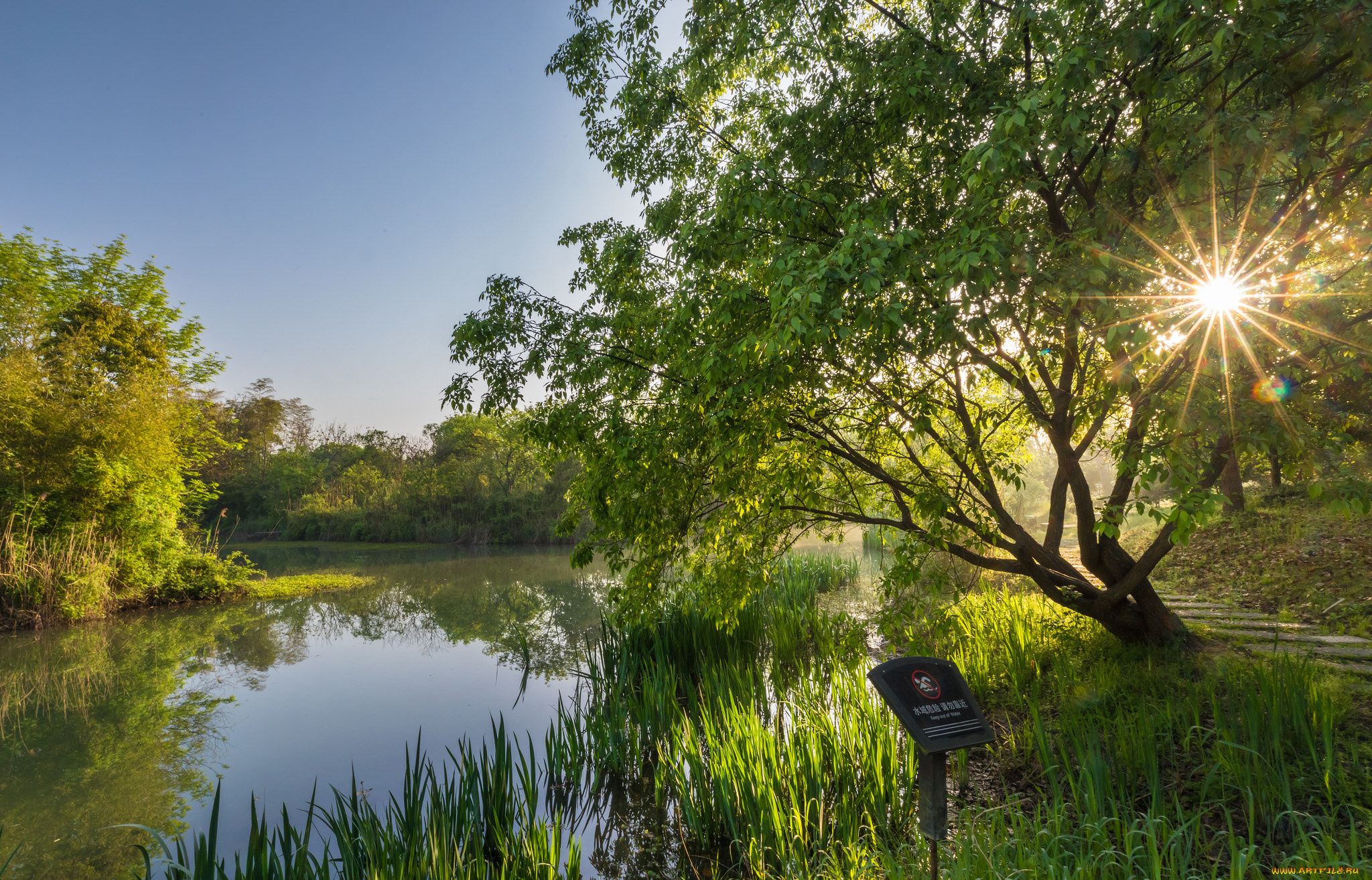 природа, реки, озера, простор