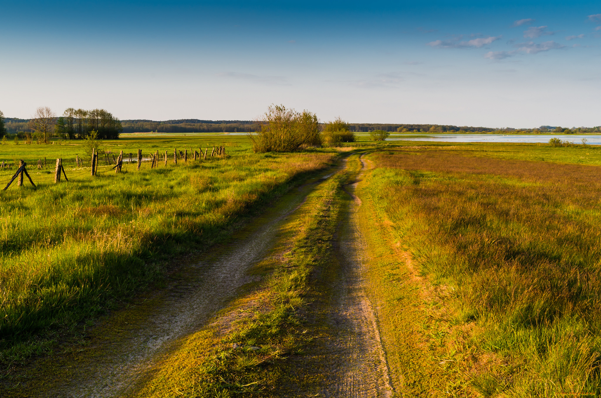 природа, дороги, простор