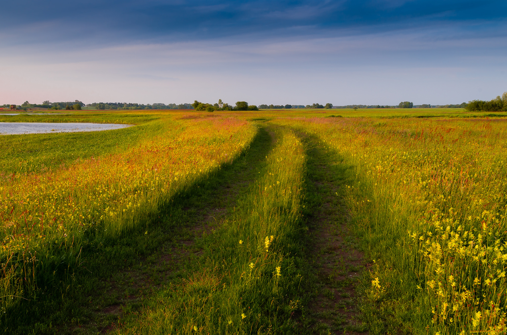 природа, дороги, простор