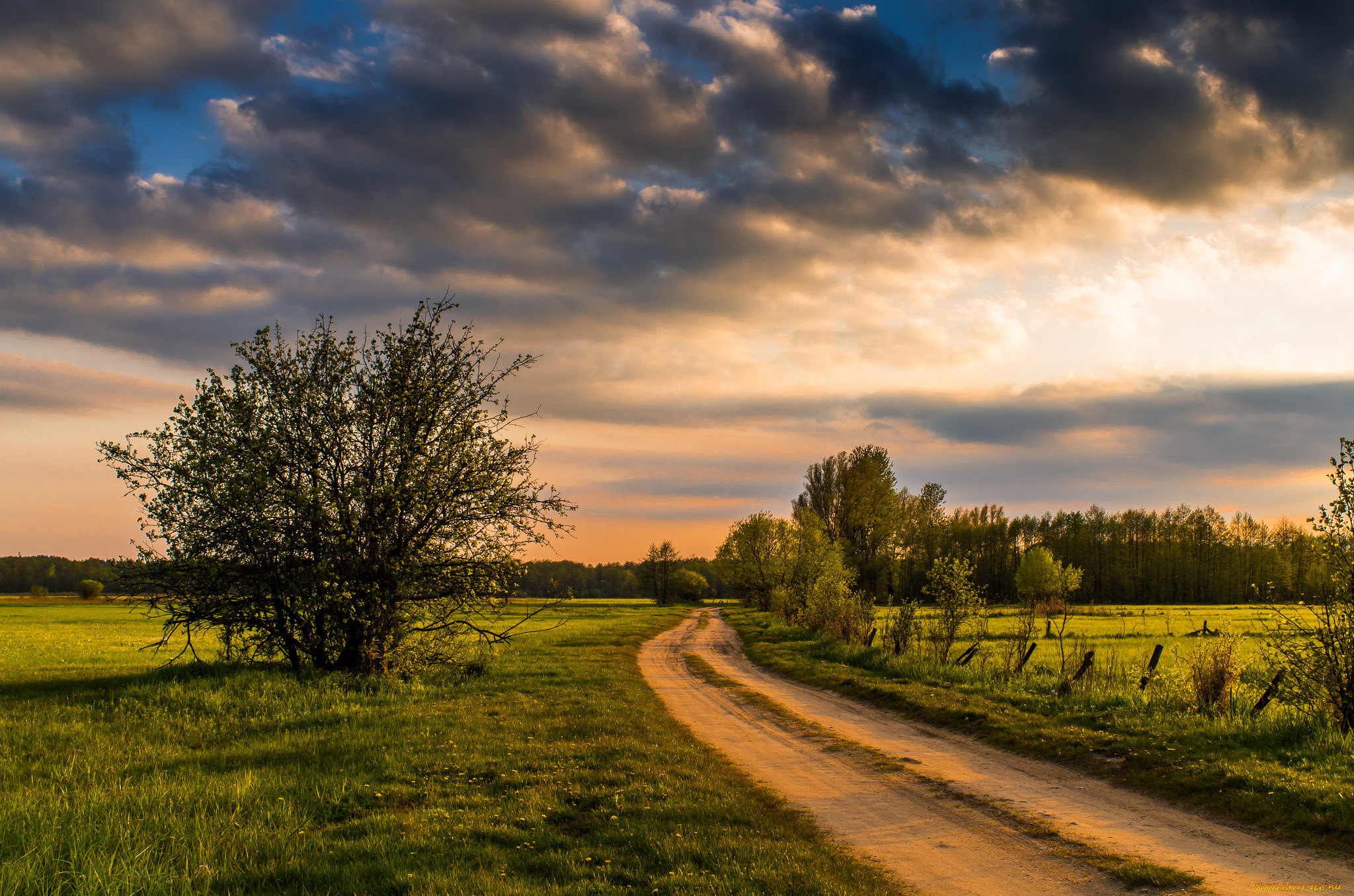 природа, дороги, простор