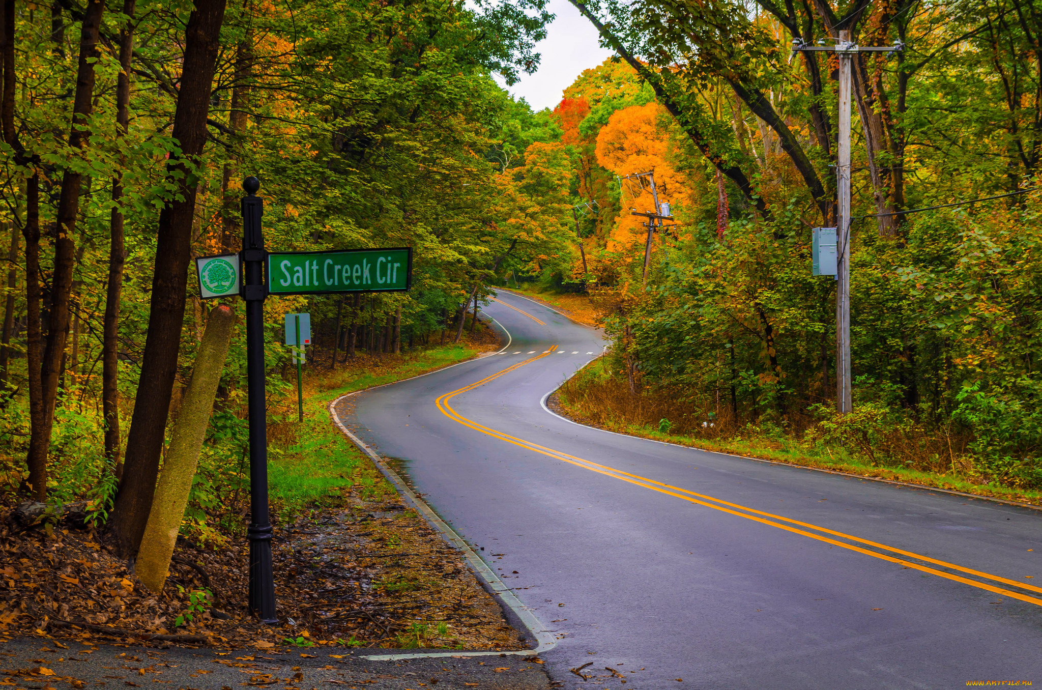 природа, дороги, простор