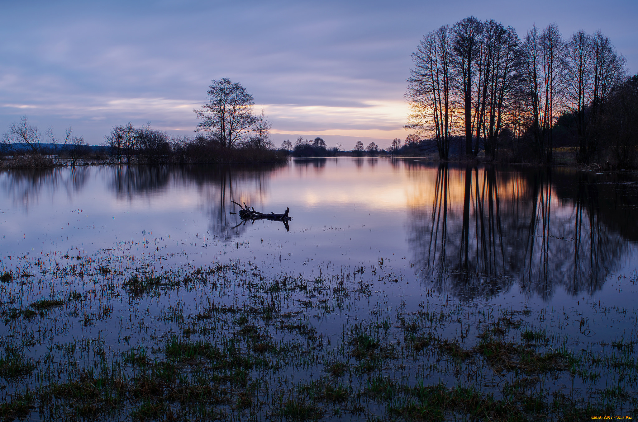 природа, реки, озера, простор