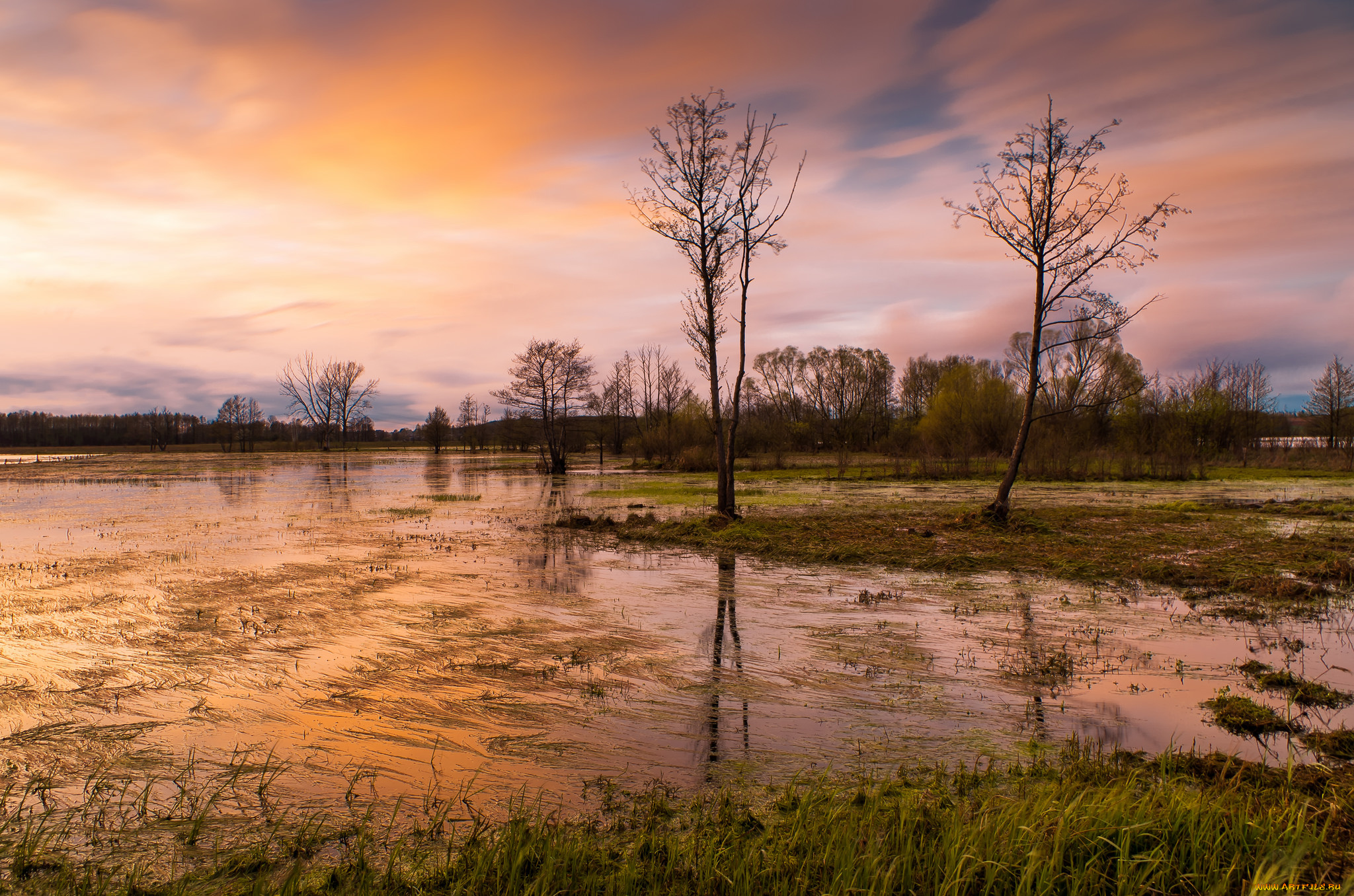 природа, реки, озера, простор