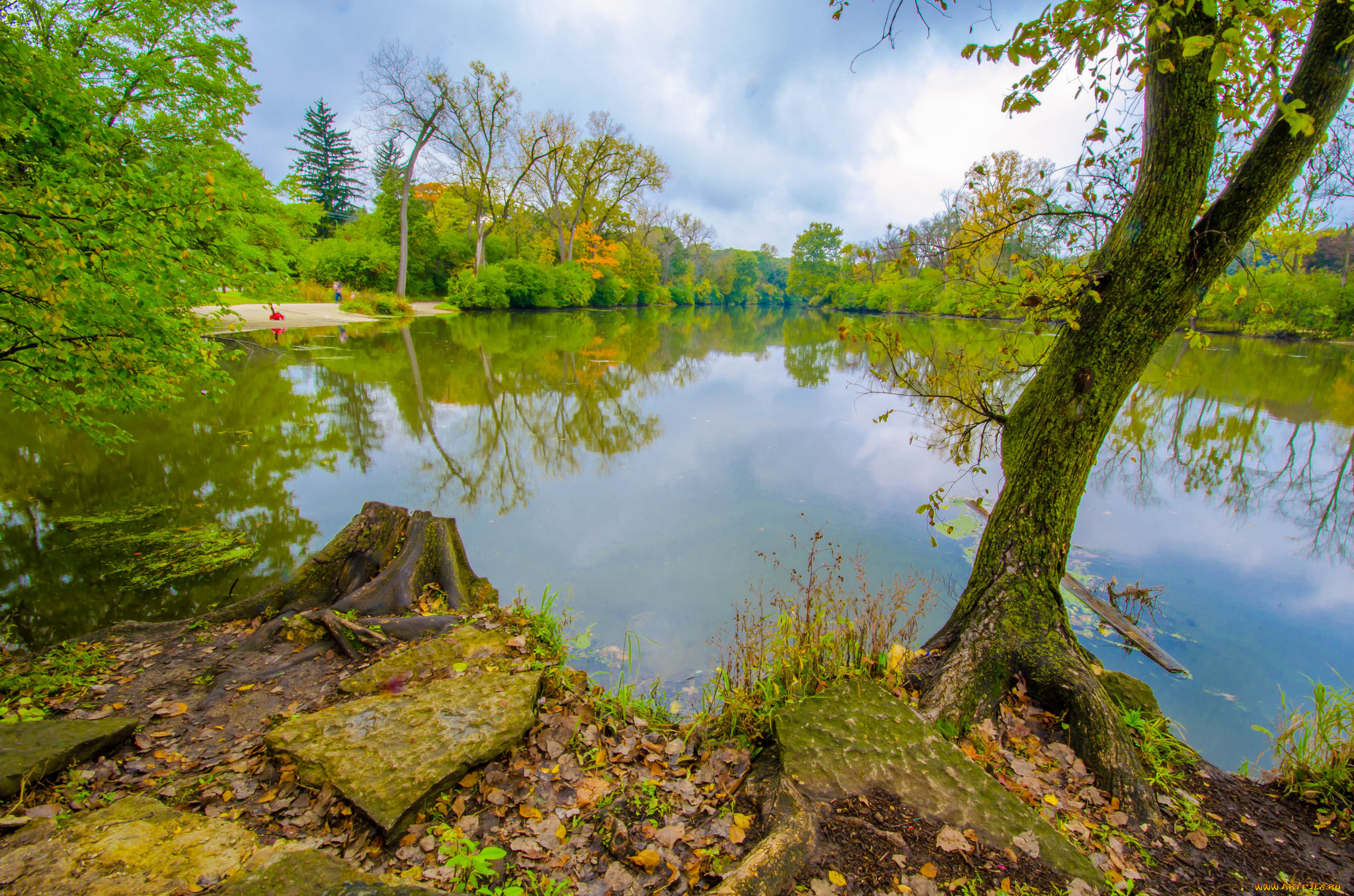 природа, реки, озера, простор