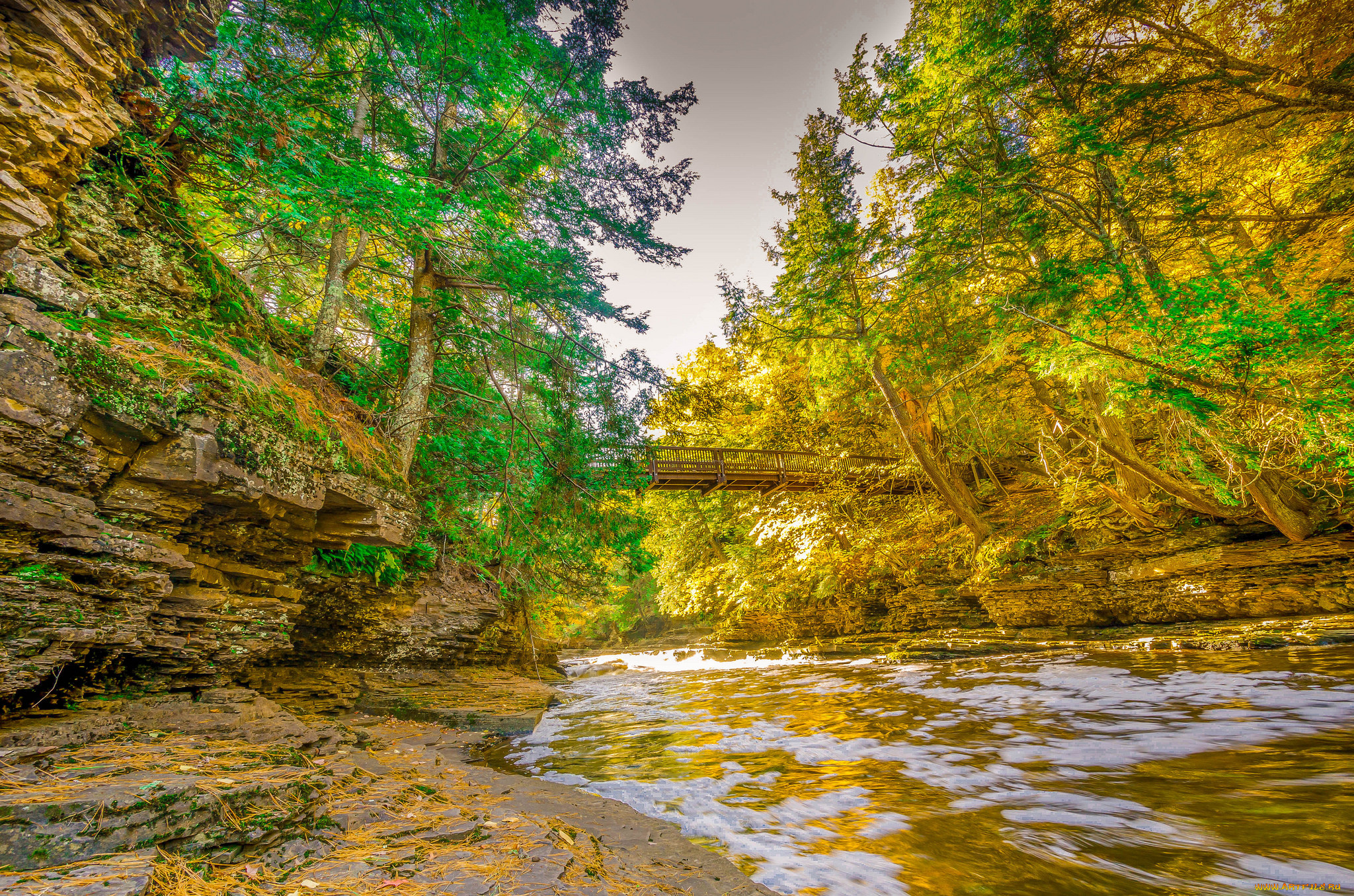 природа, реки, озера, простор