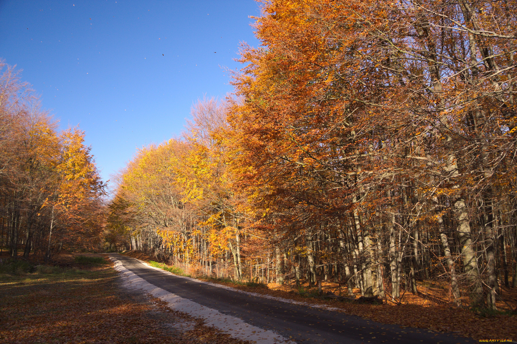 природа, дороги, простор