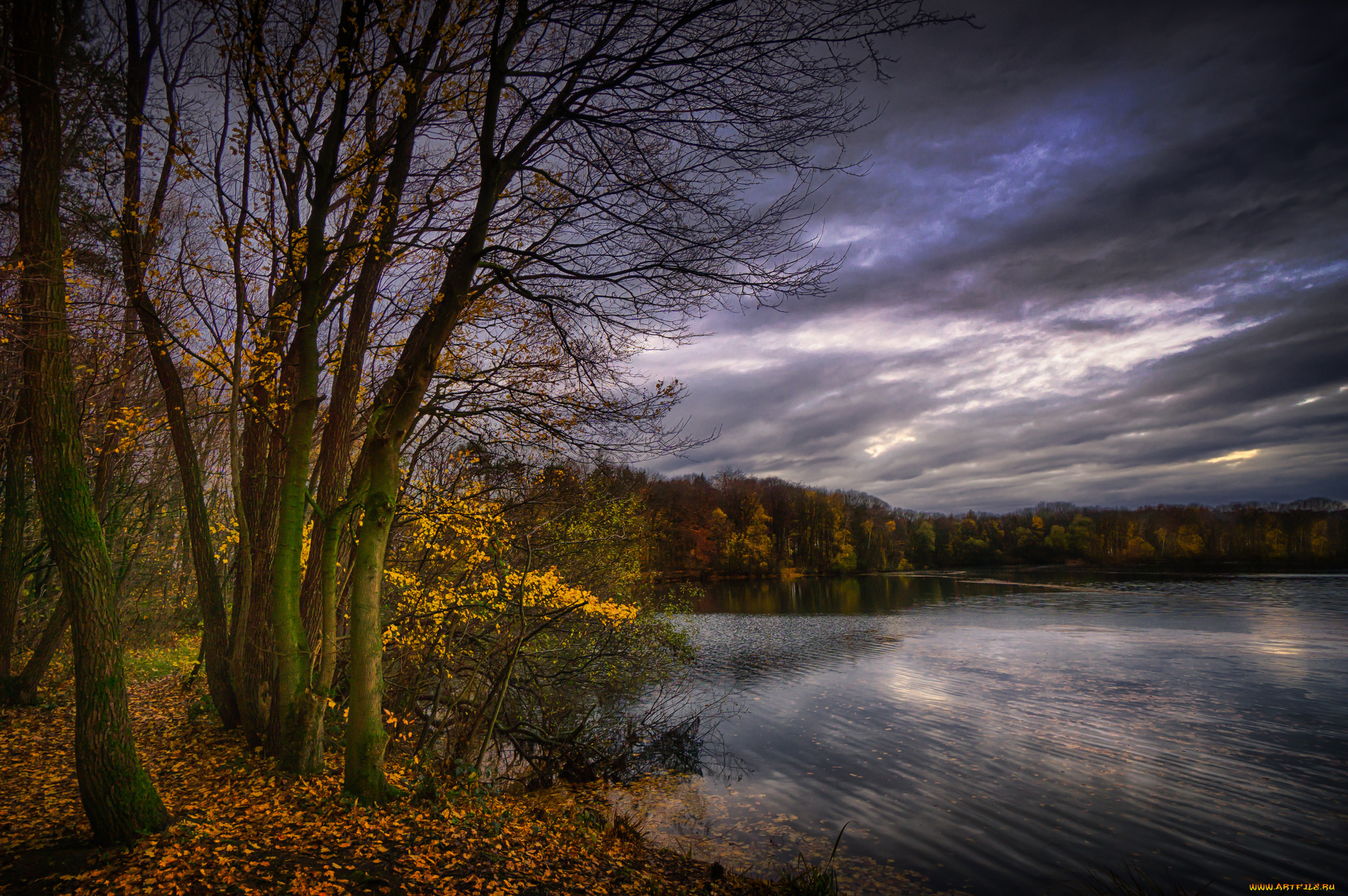 природа, реки, озера, простор