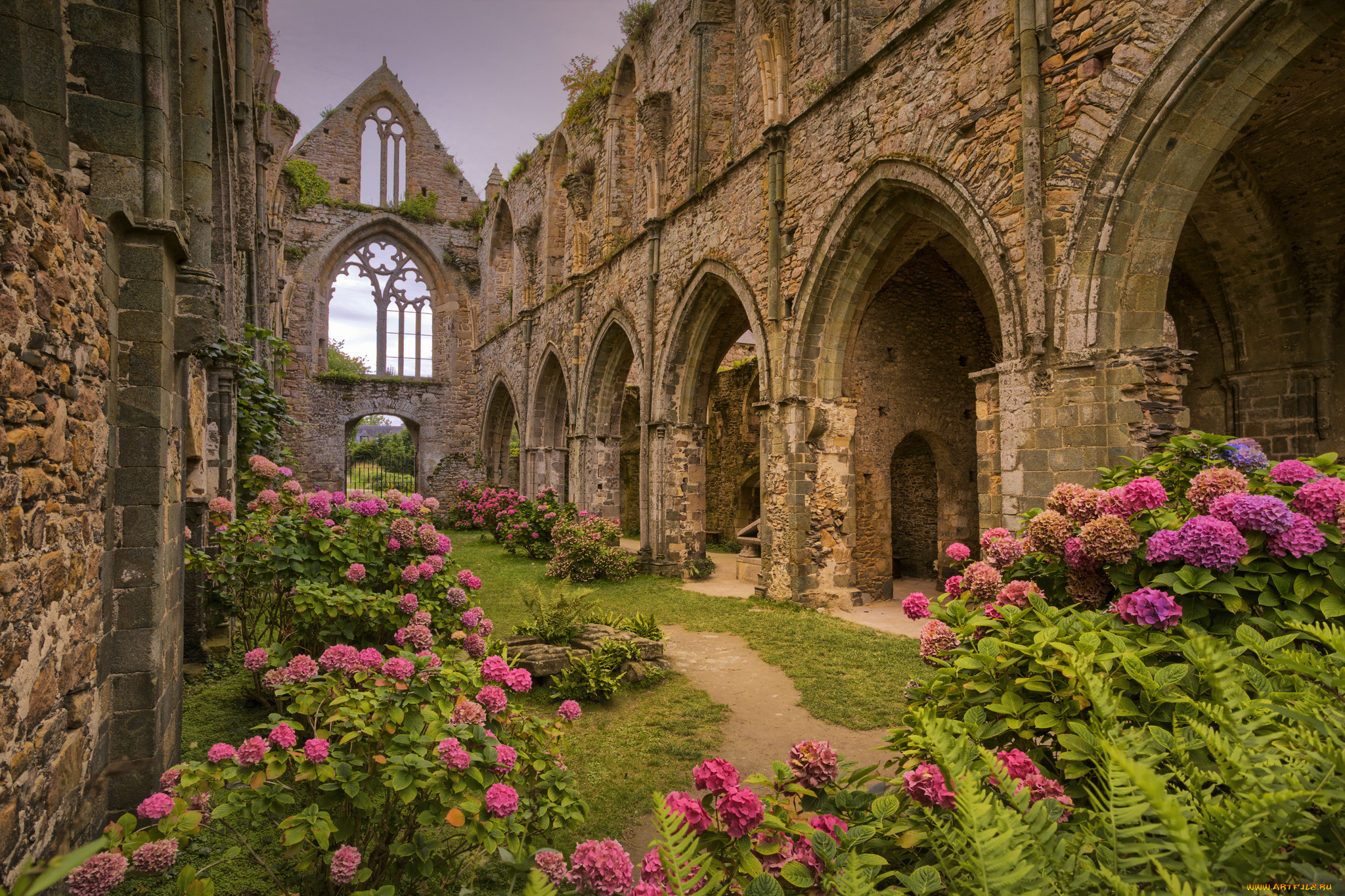 города, -, католические, соборы, , костелы, , аббатства, простор