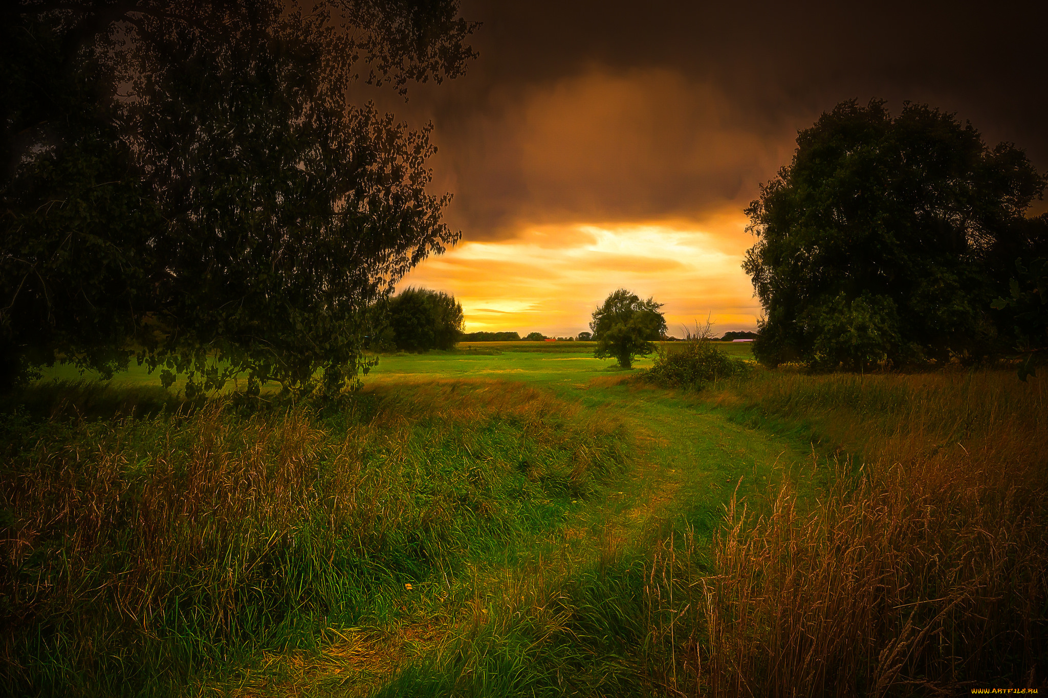 природа, дороги, простор