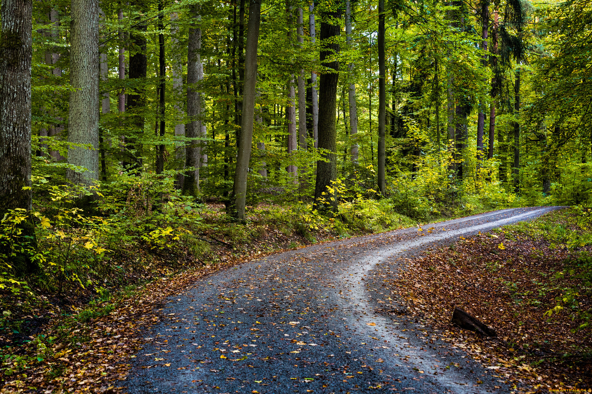 природа, дороги, простор