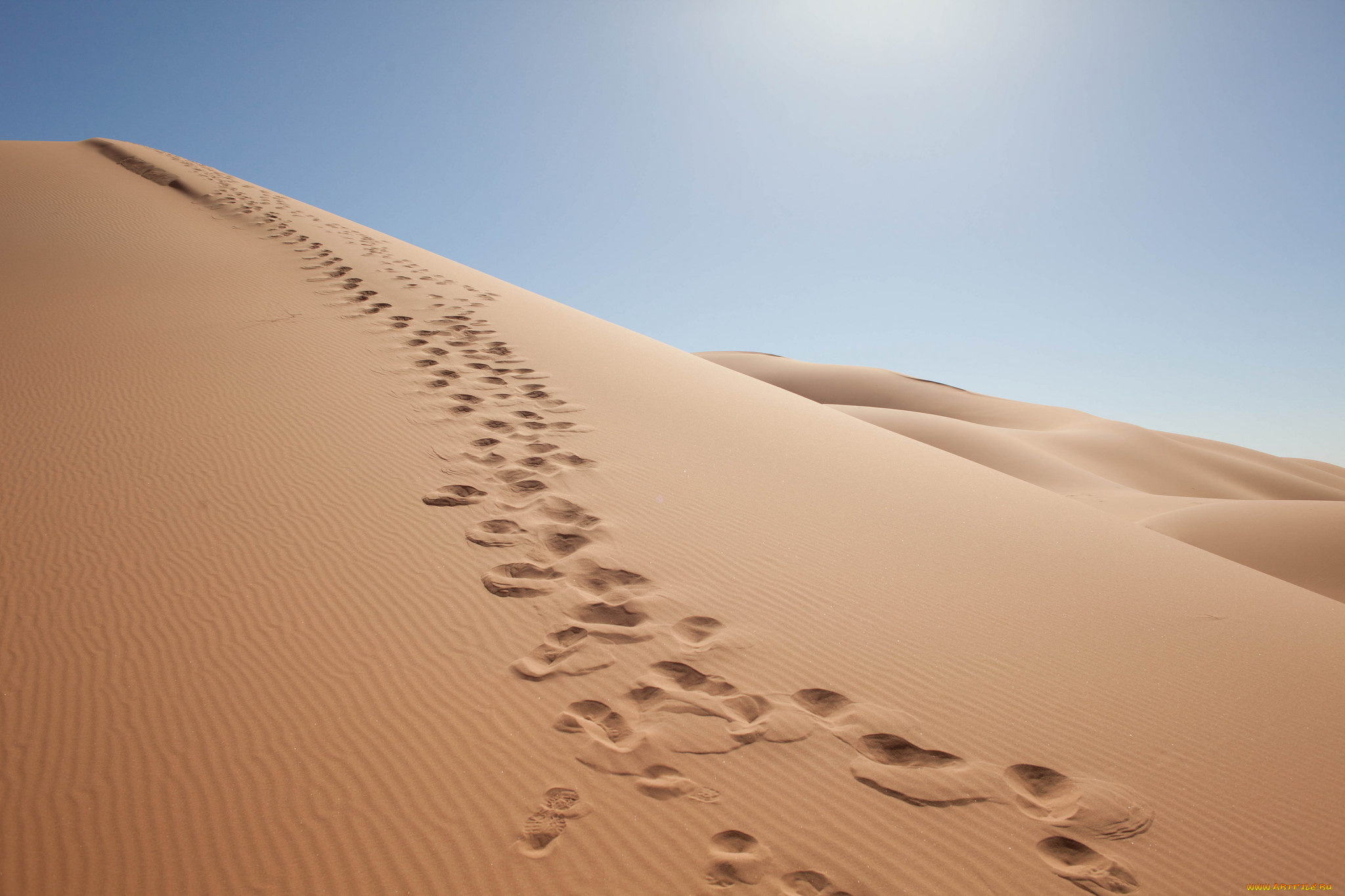 природа, пустыни, простор