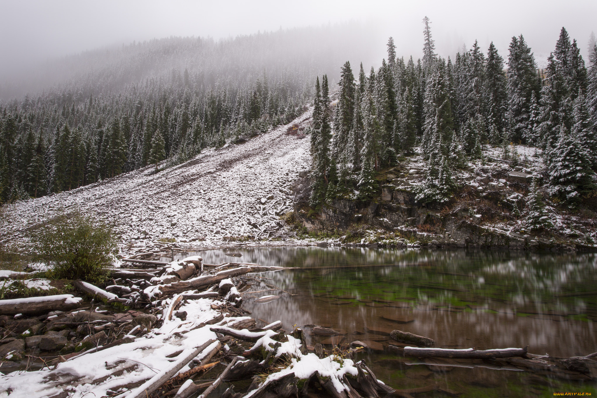 природа, реки, озера, простор