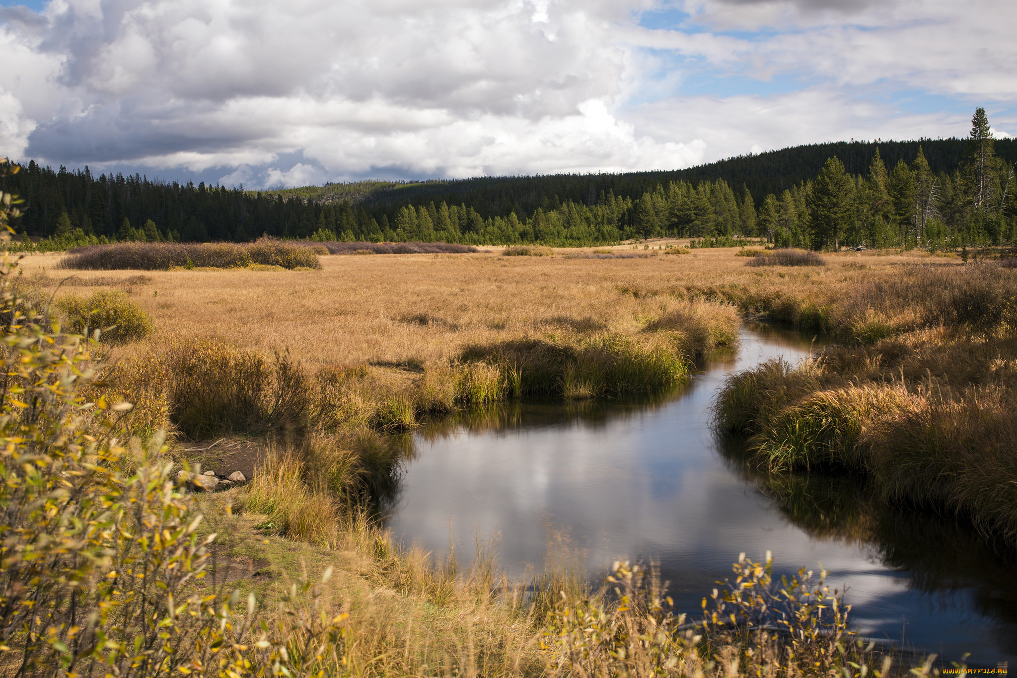 природа, реки, озера, простор