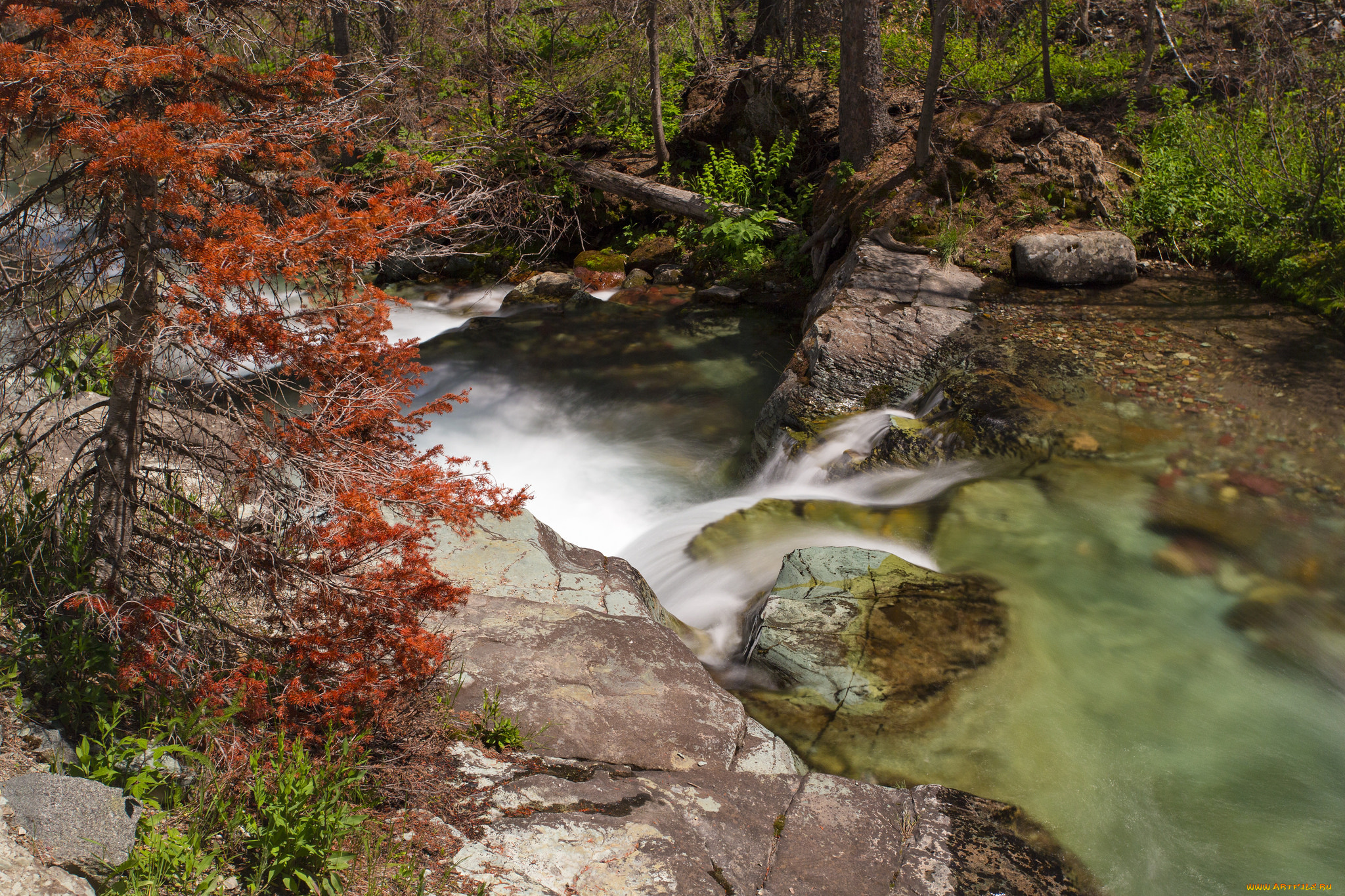 природа, реки, озера, простор