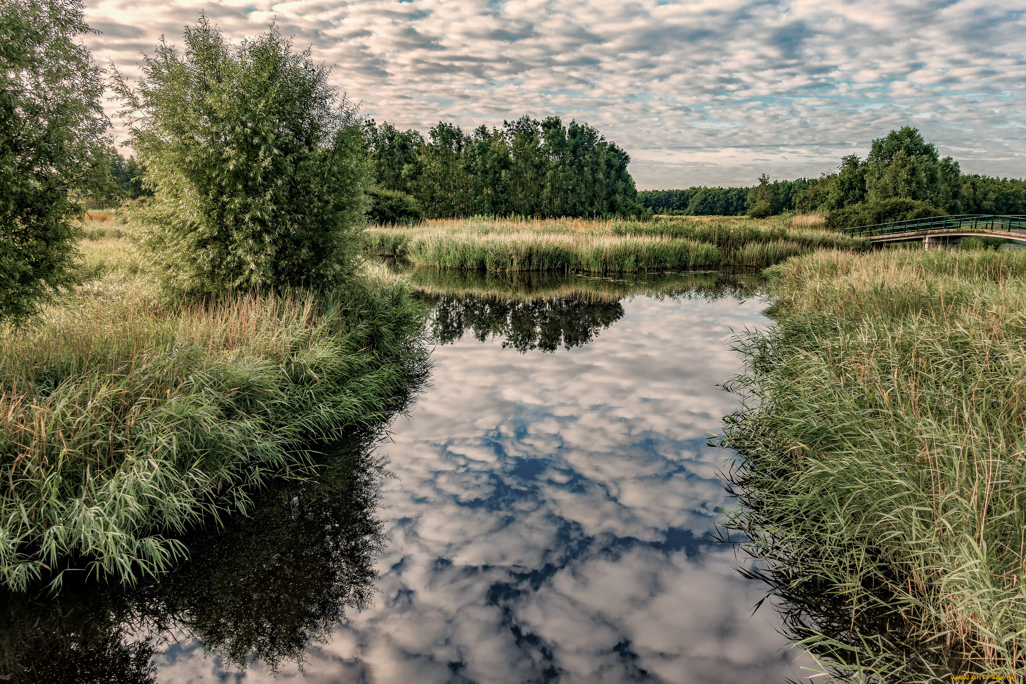 природа, реки, озера, простор