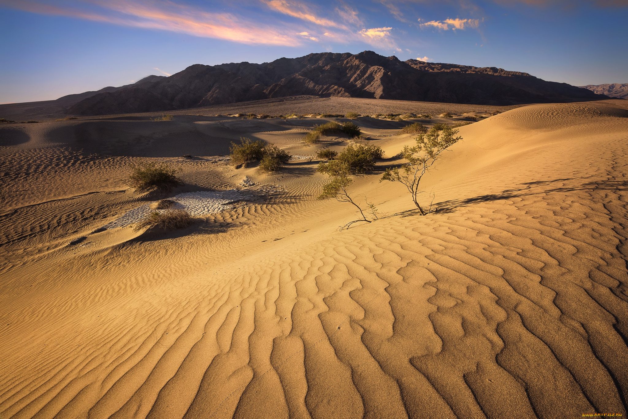 природа, пустыни, простор