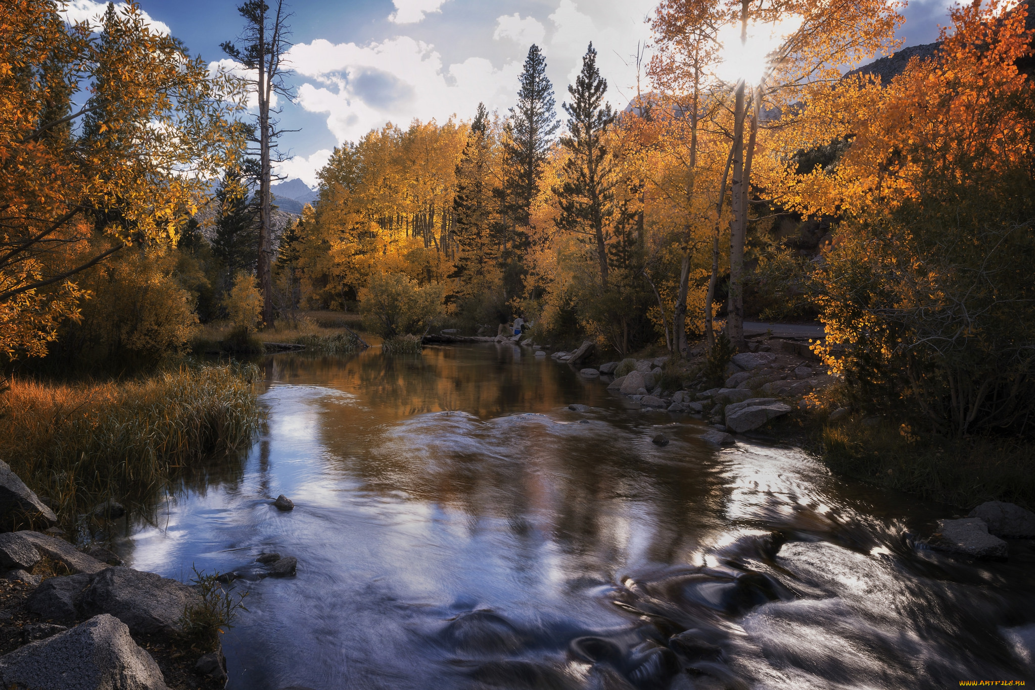 природа, реки, озера, простор