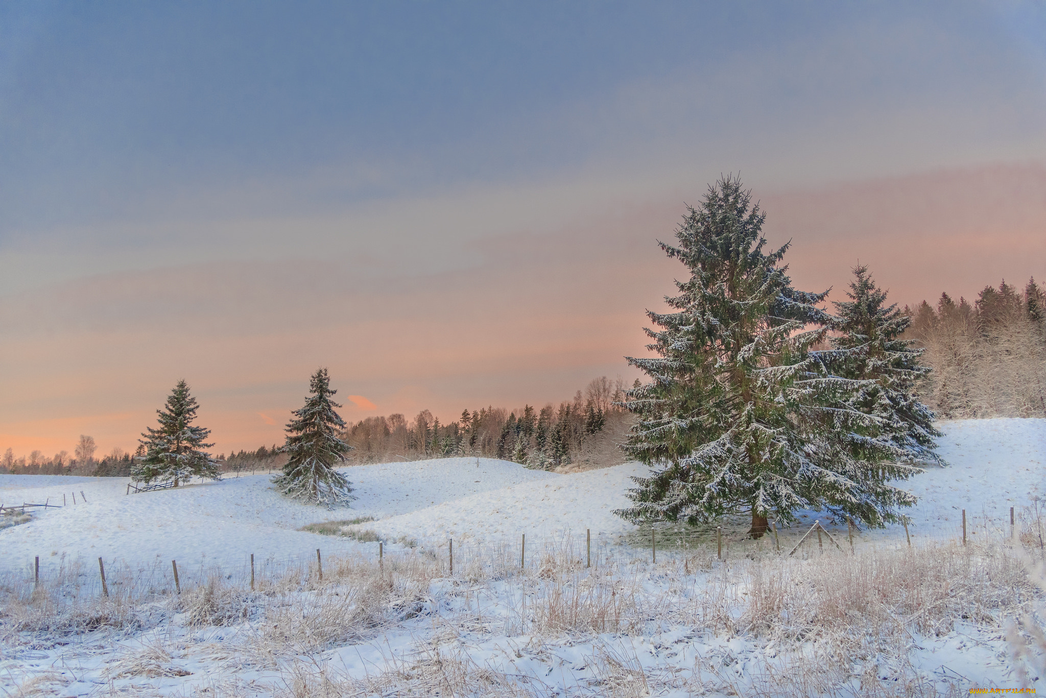 природа, зима, простор