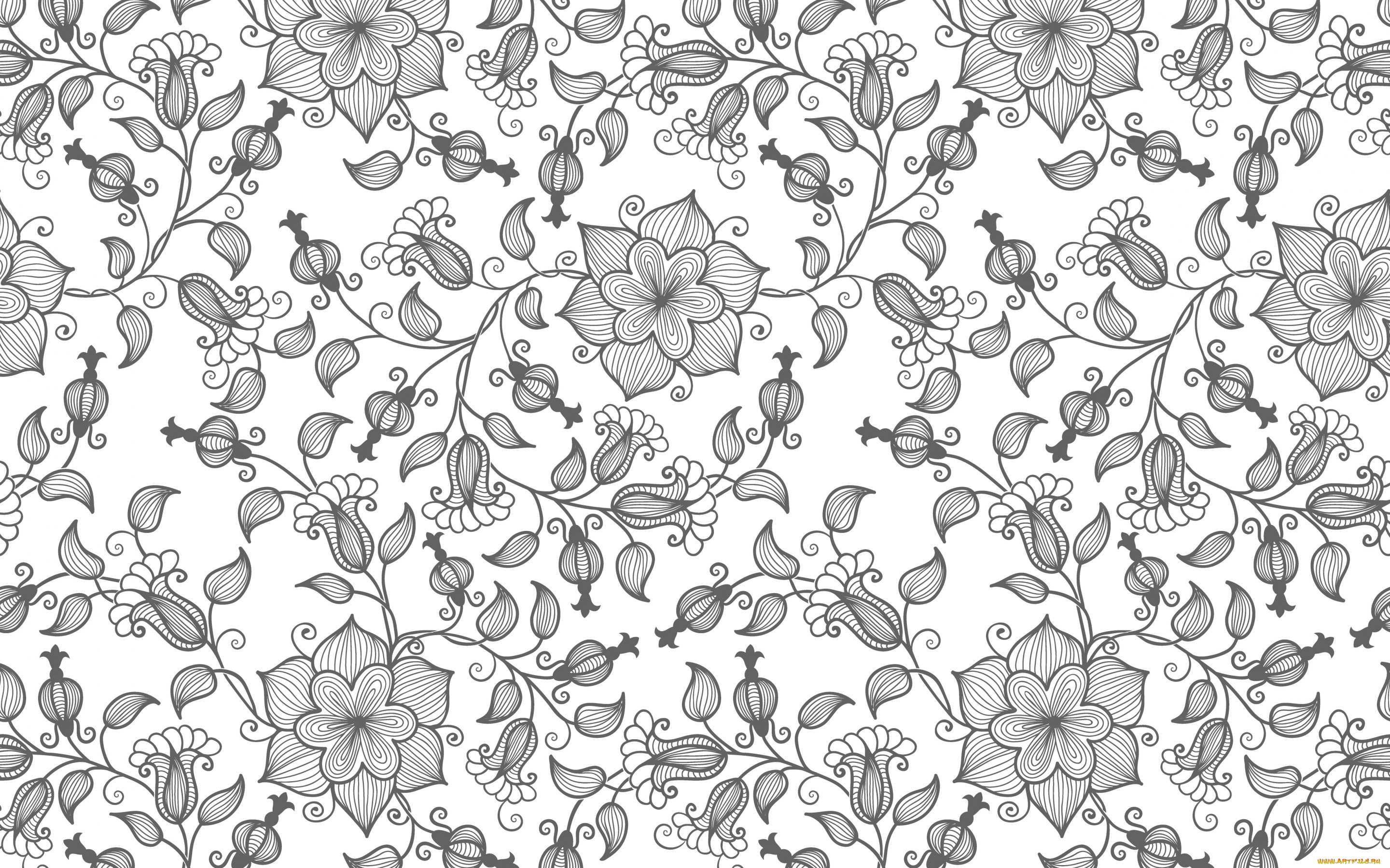 векторная, графика, цветы, , flowers, текстура, цветы, вектор, узор