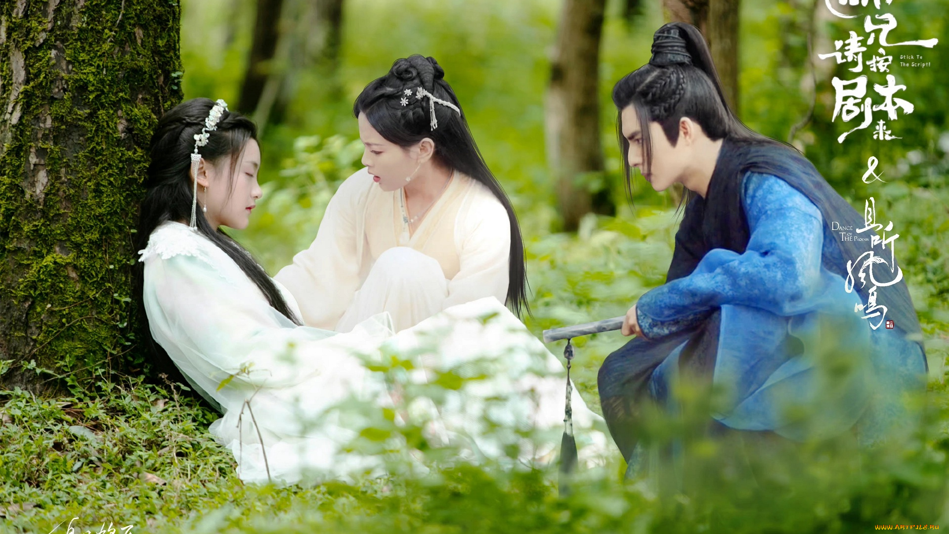 кино, фильмы, -unknown, , другое, stick, to, the, script, следуй, сценарию, танец, феникса, юй, минъе