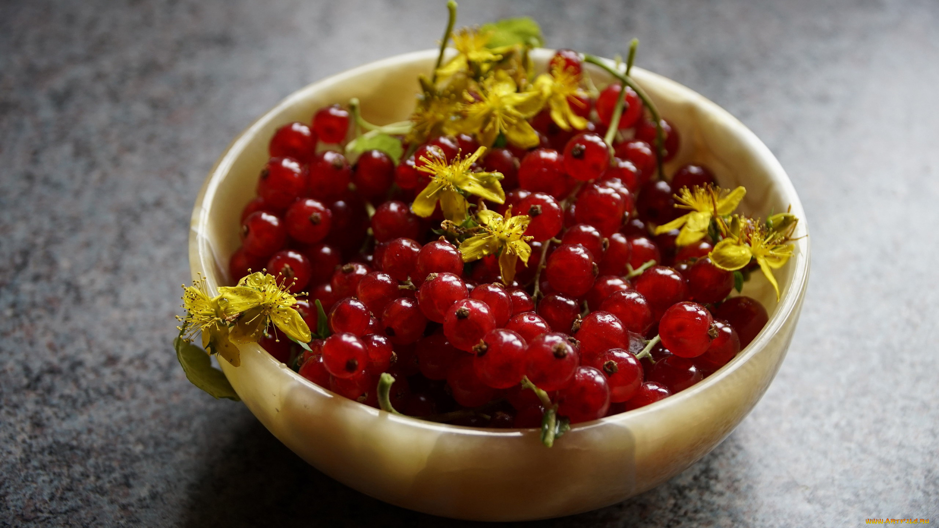 еда, смородина, миска, красная, ягоды