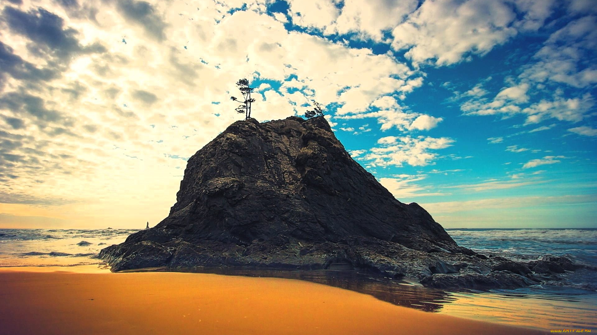 природа, плоды, скала, небо, облака, дерево, море, берег