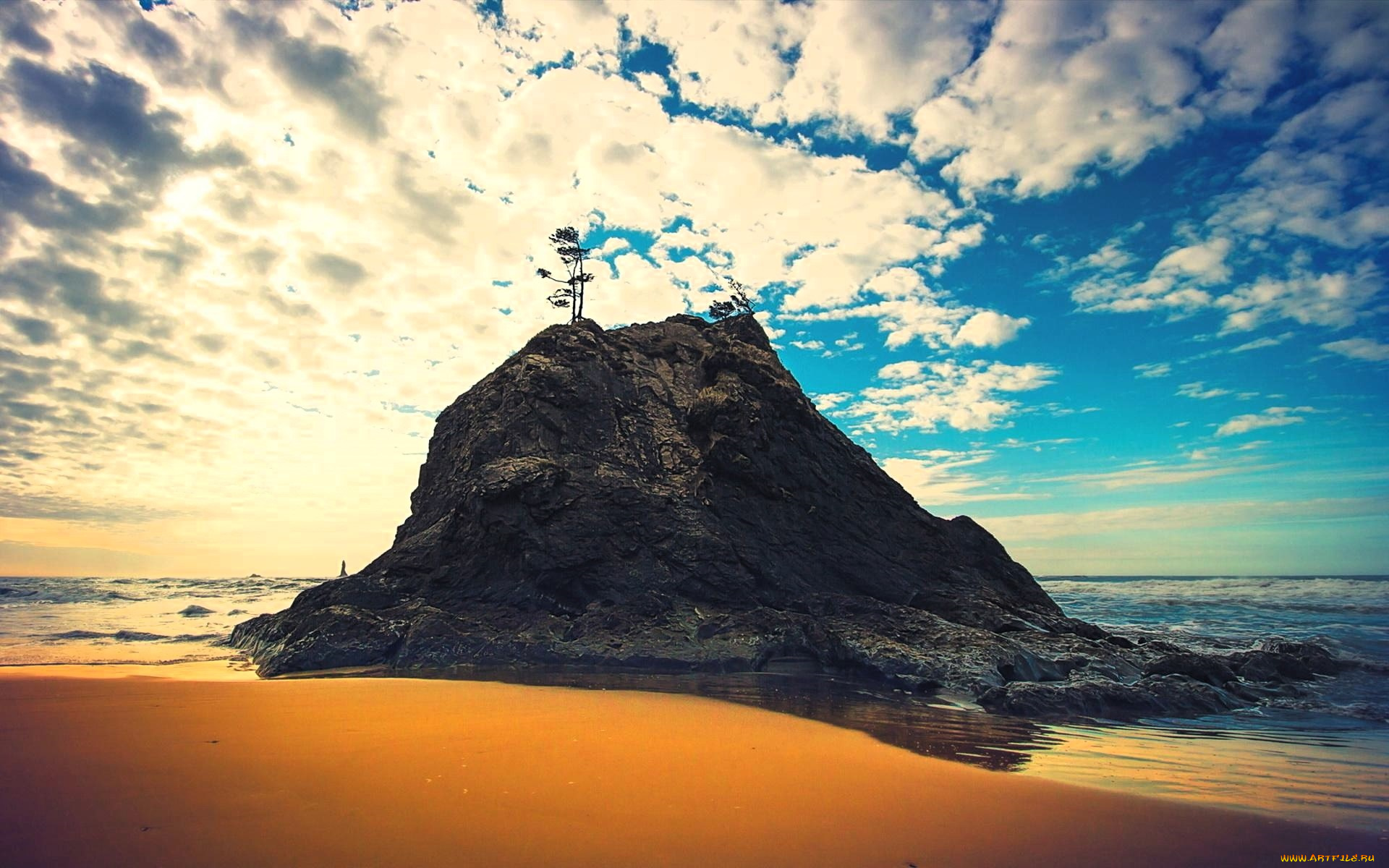природа, плоды, скала, небо, облака, дерево, море, берег