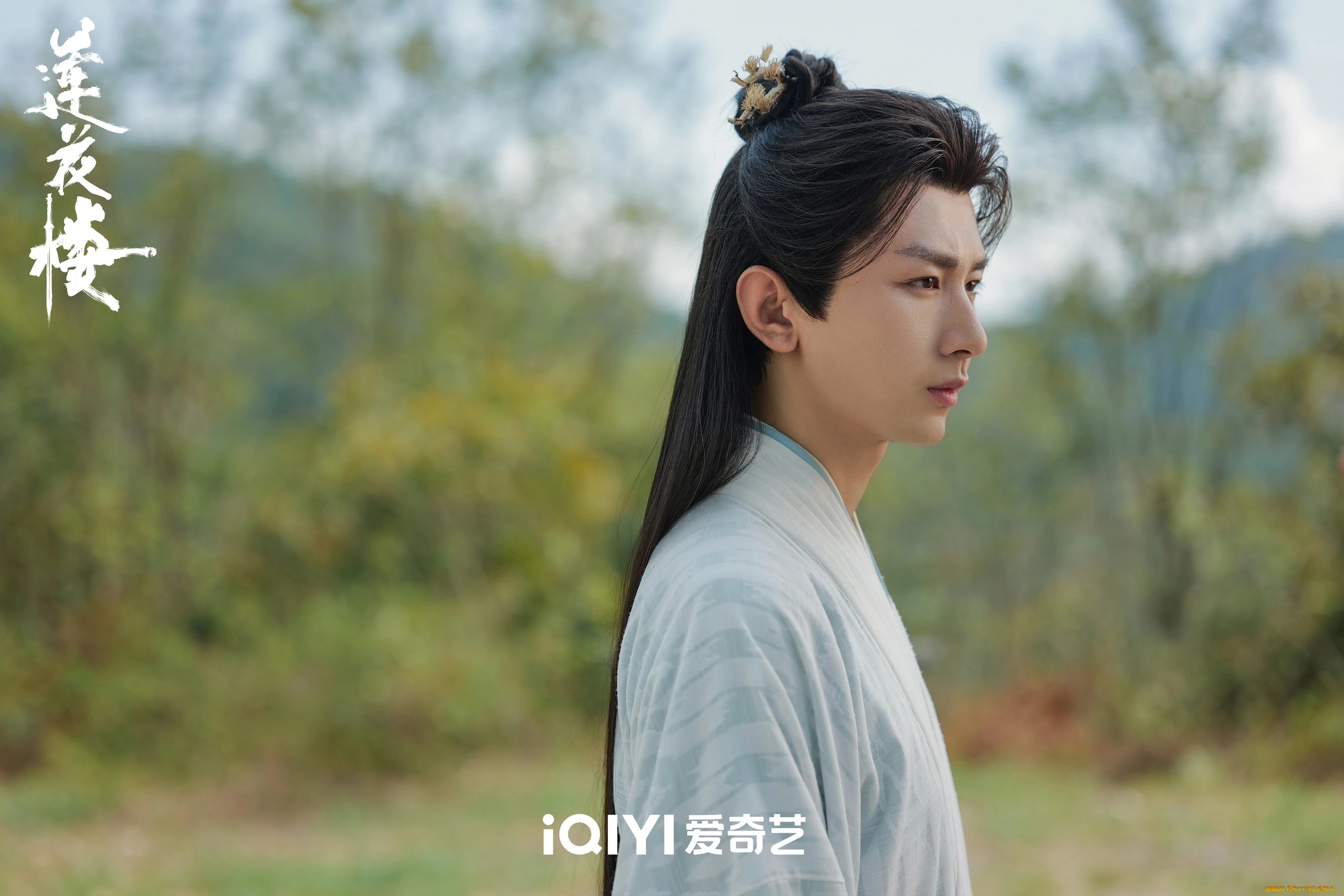 кино, фильмы, mysterious, lotus, casebook, башня, лотоса, с, благоприятными, узорами, лотосовый, терем, дело, mysterious, lotus, casebook, lian, hua, lou