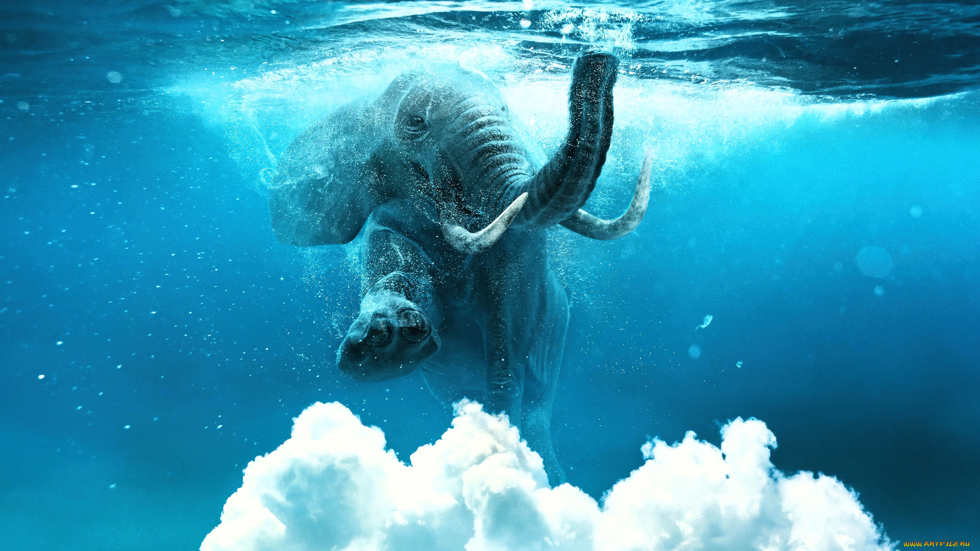 3д, графика, животные, , animals, слон, вода, плавание