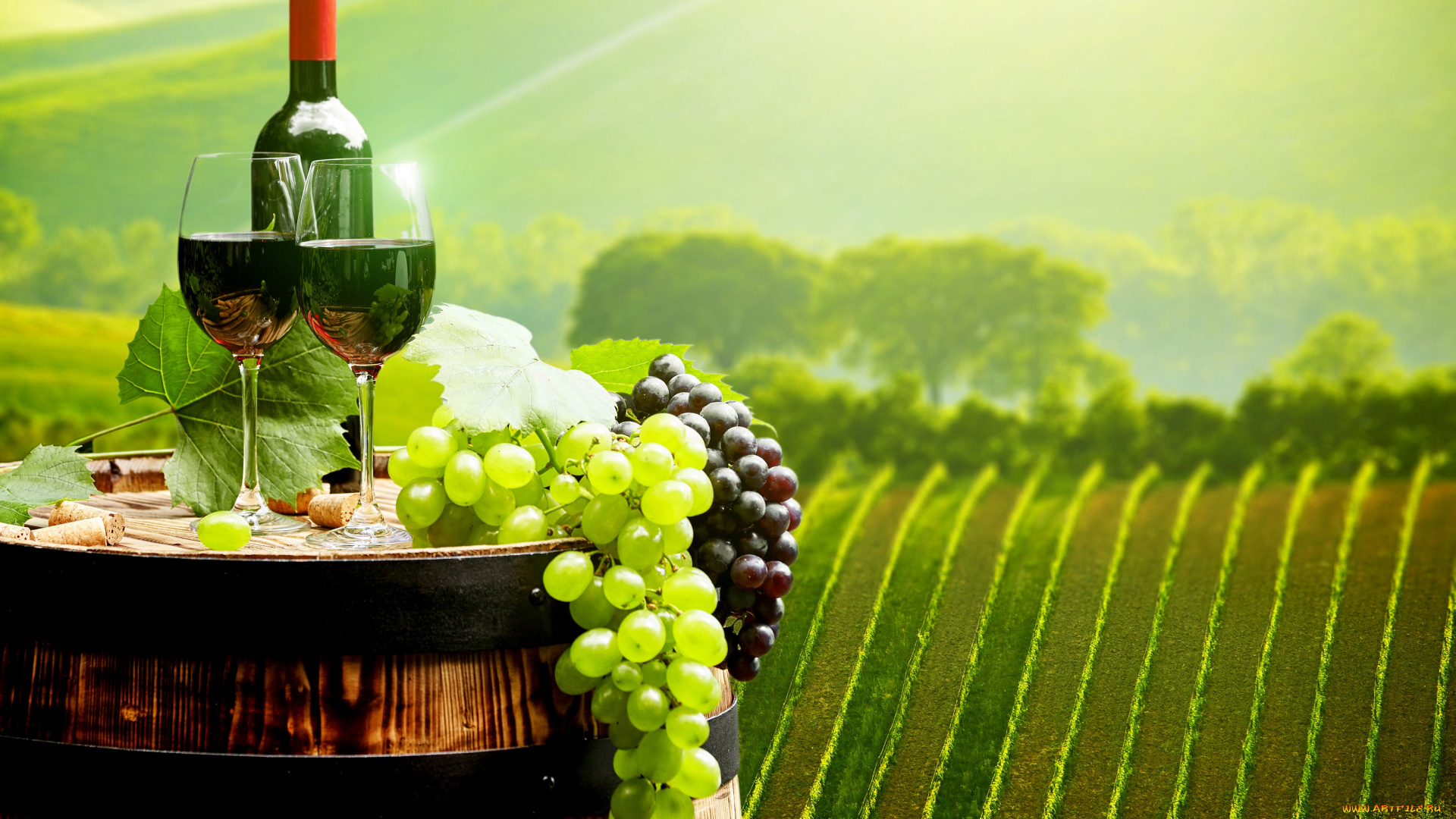 еда, напитки, , вино, вино