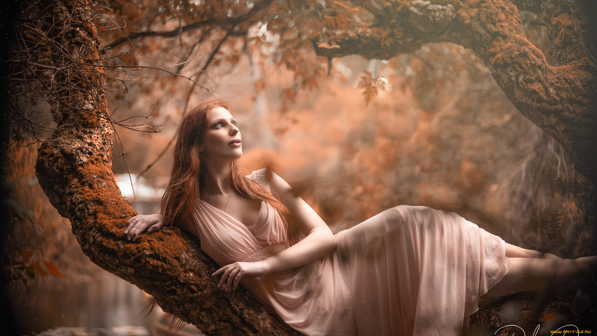 красивая, девушка, девушки, -, рыжеволосые, и, разноцветные, девушка, женщина, рыжая, светлая, тёмная, сексуальная, модель, звезда, позирует, разная, обувь, верхняя, стильная, одежда, нижнее, эротическое, бельё, трусы, лифчик, колготки, чулки, аксессуары, макияж, и, множество, элементов, на, фотографии