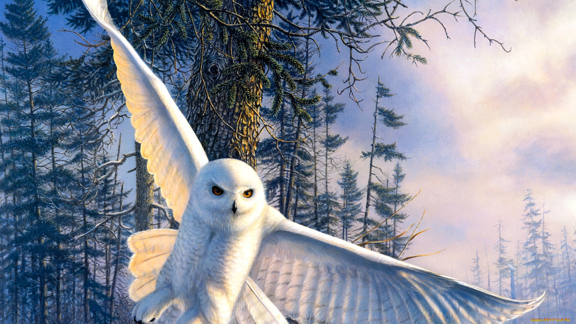 рисованное, животные, , птицы, , совы, , филины, сова, белая, полярная, птица, лес, снег, зима