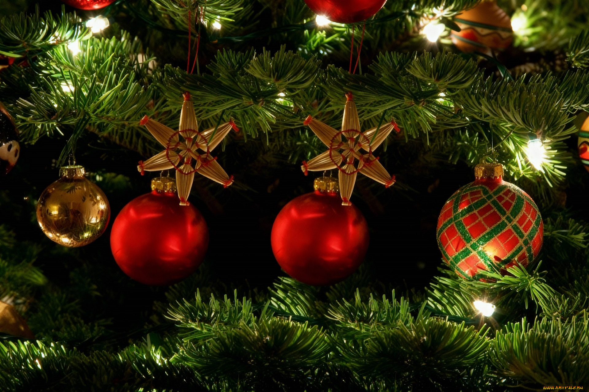 праздничные, ёлки, новогодняя