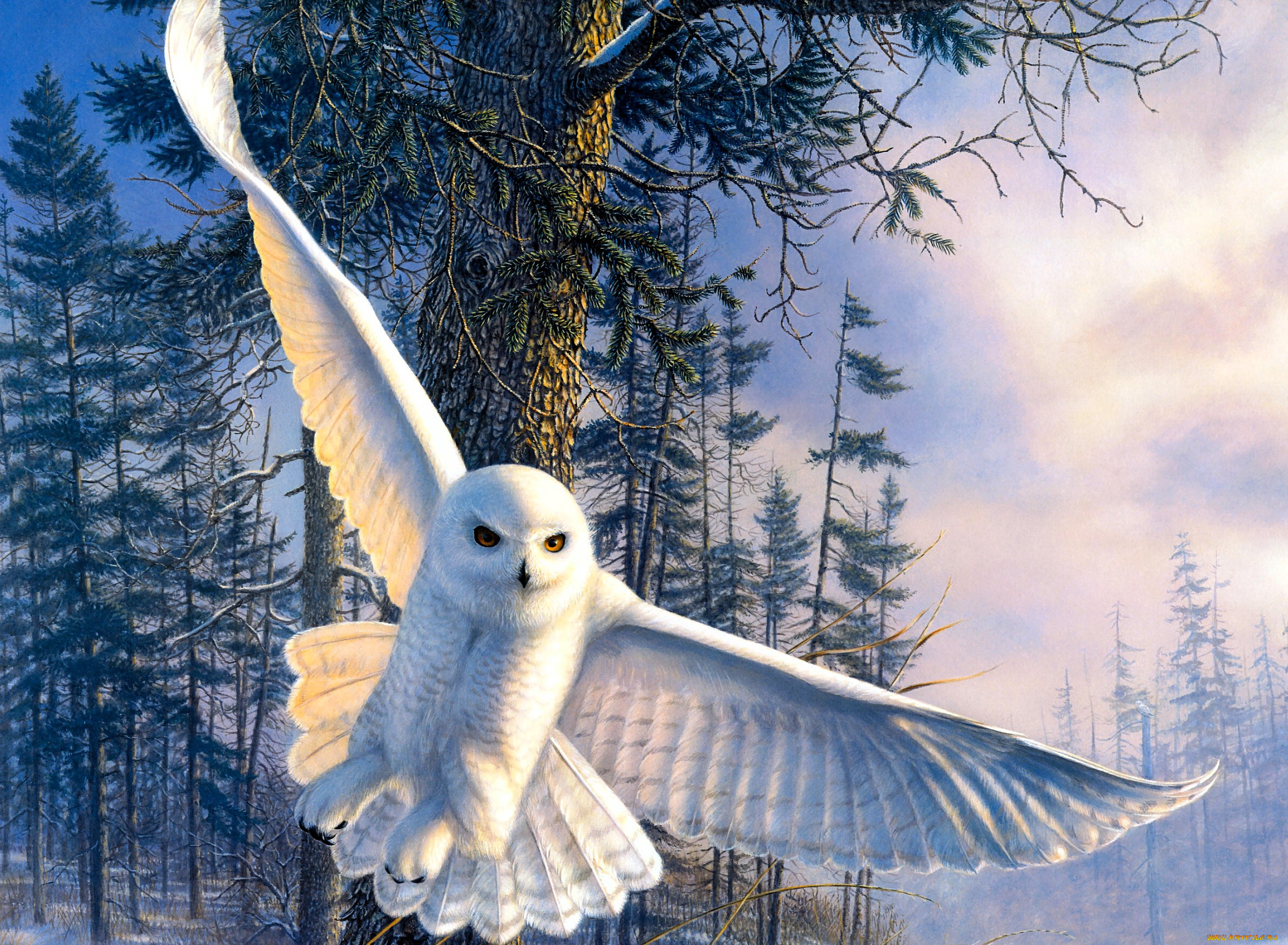 рисованное, животные, , птицы, , совы, , филины, сова, белая, полярная, птица, лес, снег, зима