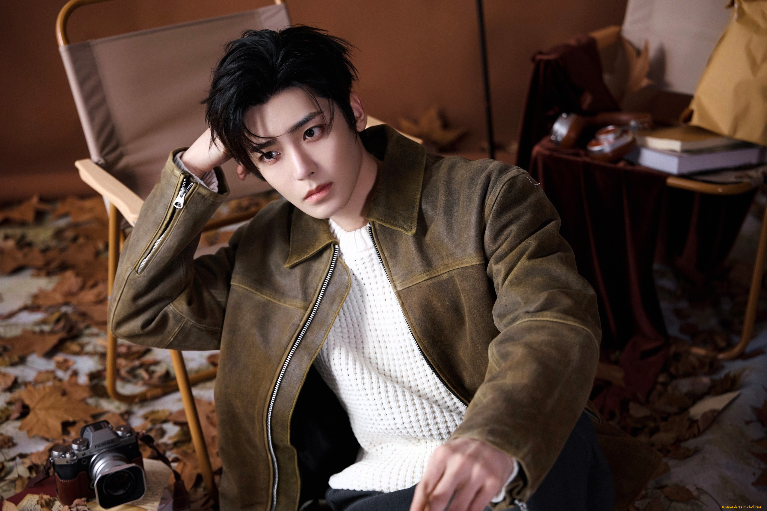мужчины, hou, ming, hao, актер, свитер, куртка, стул, листья, фотоаппарат, книги