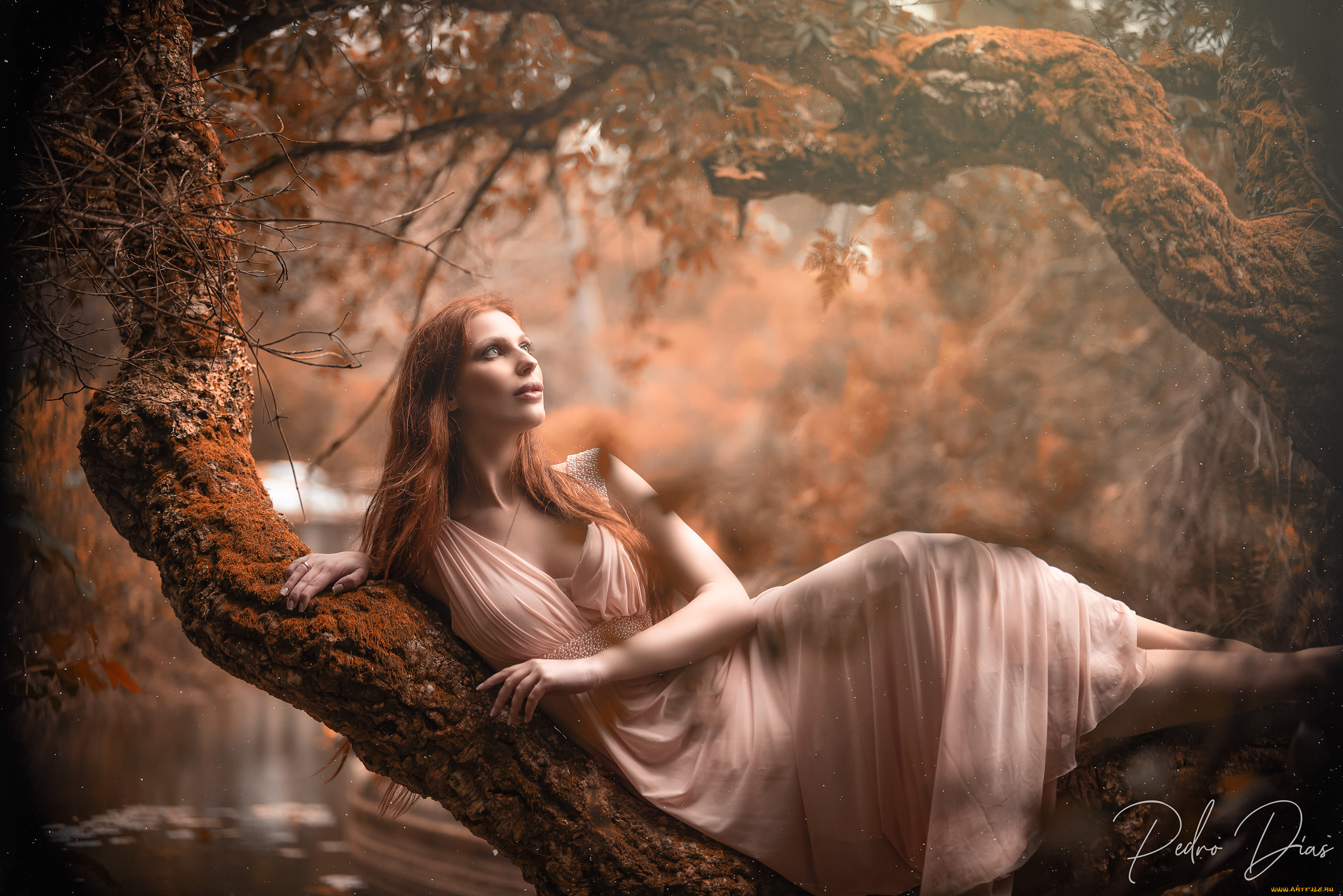 красивая, девушка, девушки, -, рыжеволосые, и, разноцветные, девушка, женщина, рыжая, светлая, тёмная, сексуальная, модель, звезда, позирует, разная, обувь, верхняя, стильная, одежда, нижнее, эротическое, бельё, трусы, лифчик, колготки, чулки, аксессуары, макияж, и, множество, элементов, на, фотографии