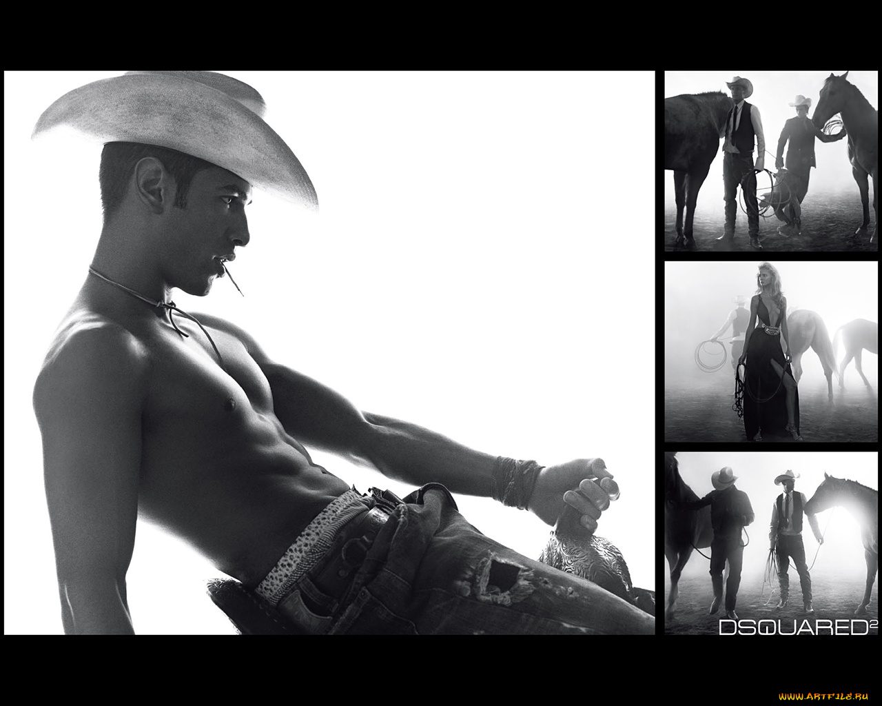 dsquared2, бренды