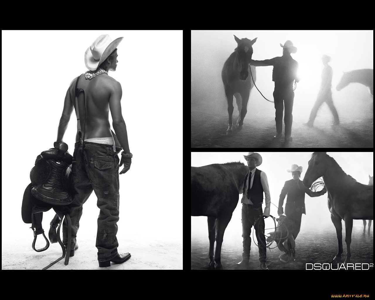 dsquared2, бренды