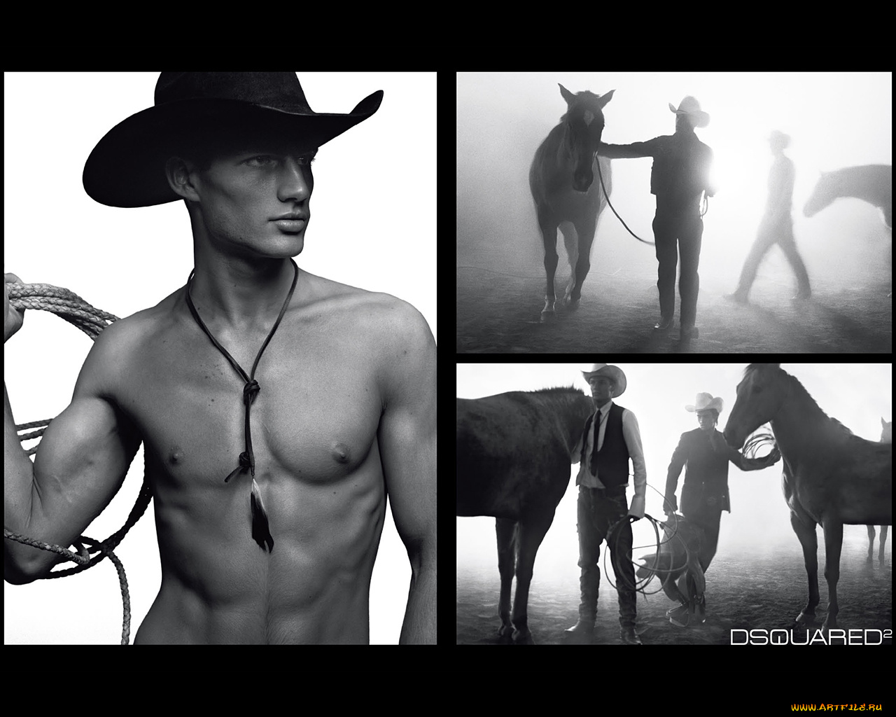 dsquared2, бренды