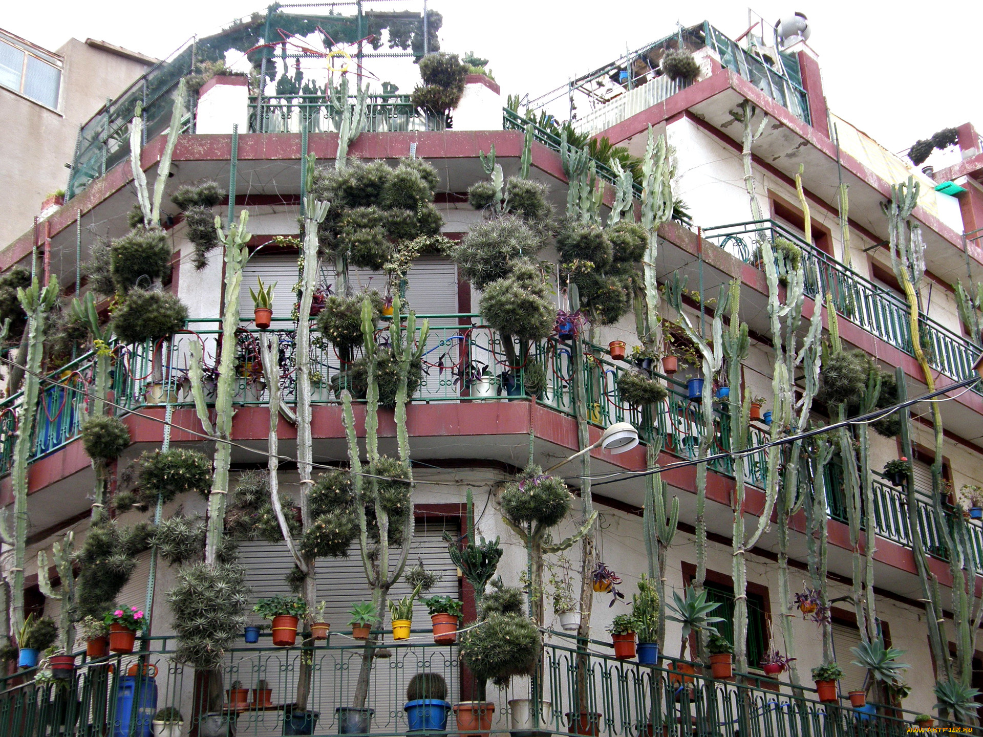 охрана, дома, города, здания