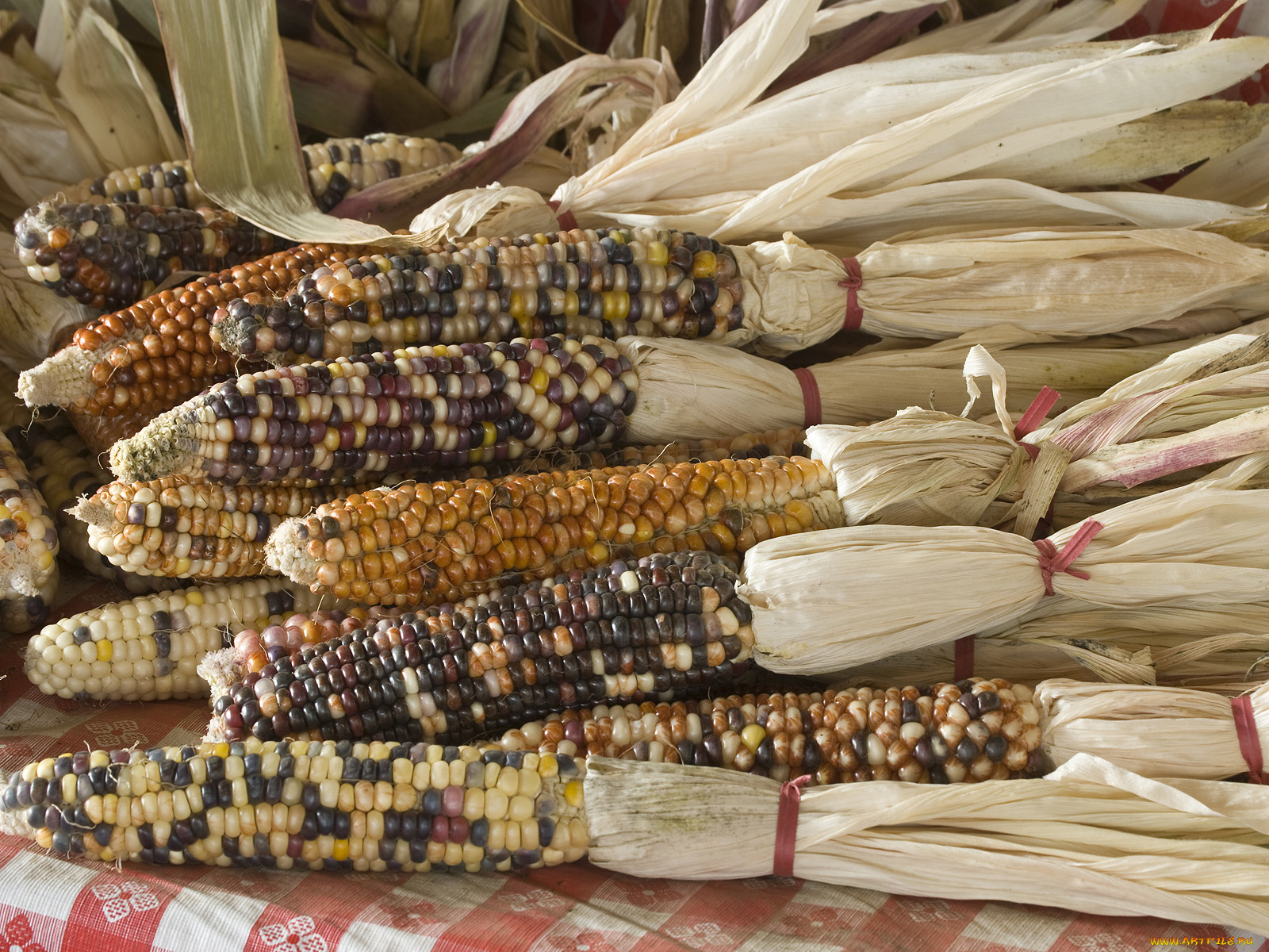 еда, кукуруза