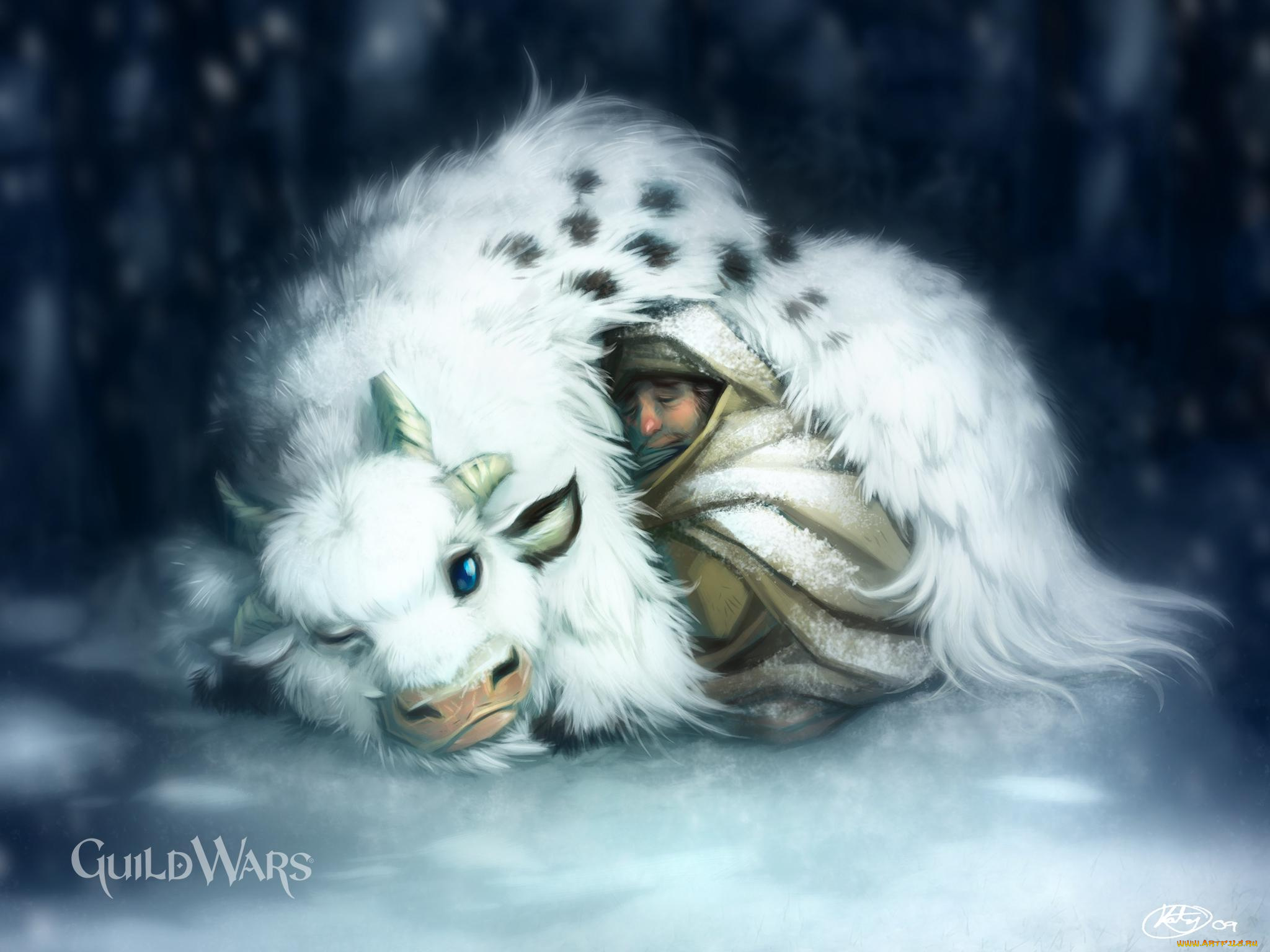 видео, игры, guild, wars