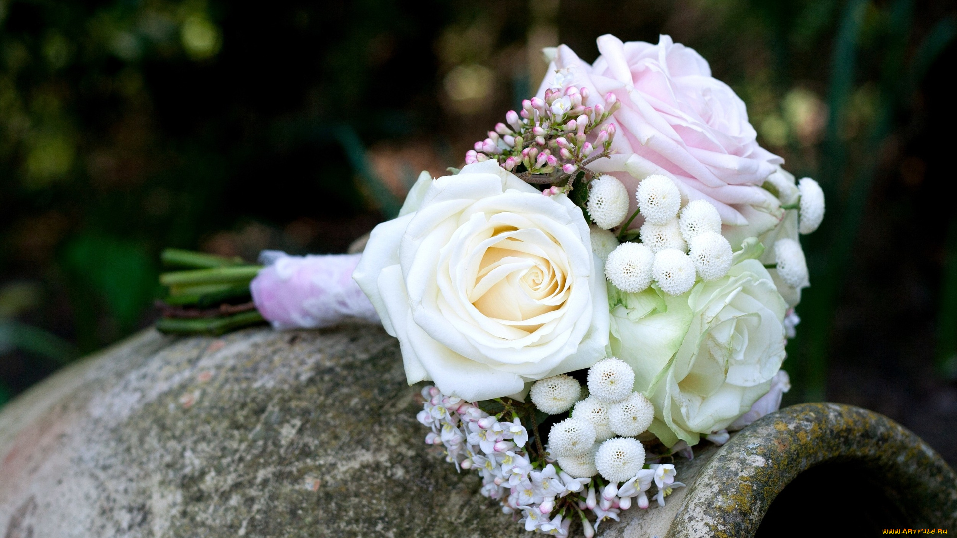 цветы, букеты, композиции, розы, белый, хризантемы, кувшин