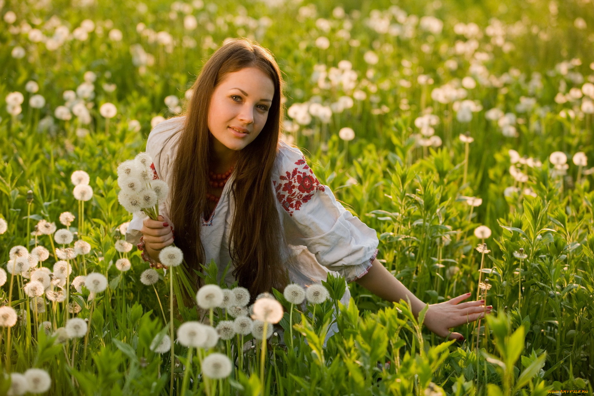 _Unsort, -НЕ, ВЫБИРАТЬ, , , девушки, , не, выбирать, луг, одуванчики