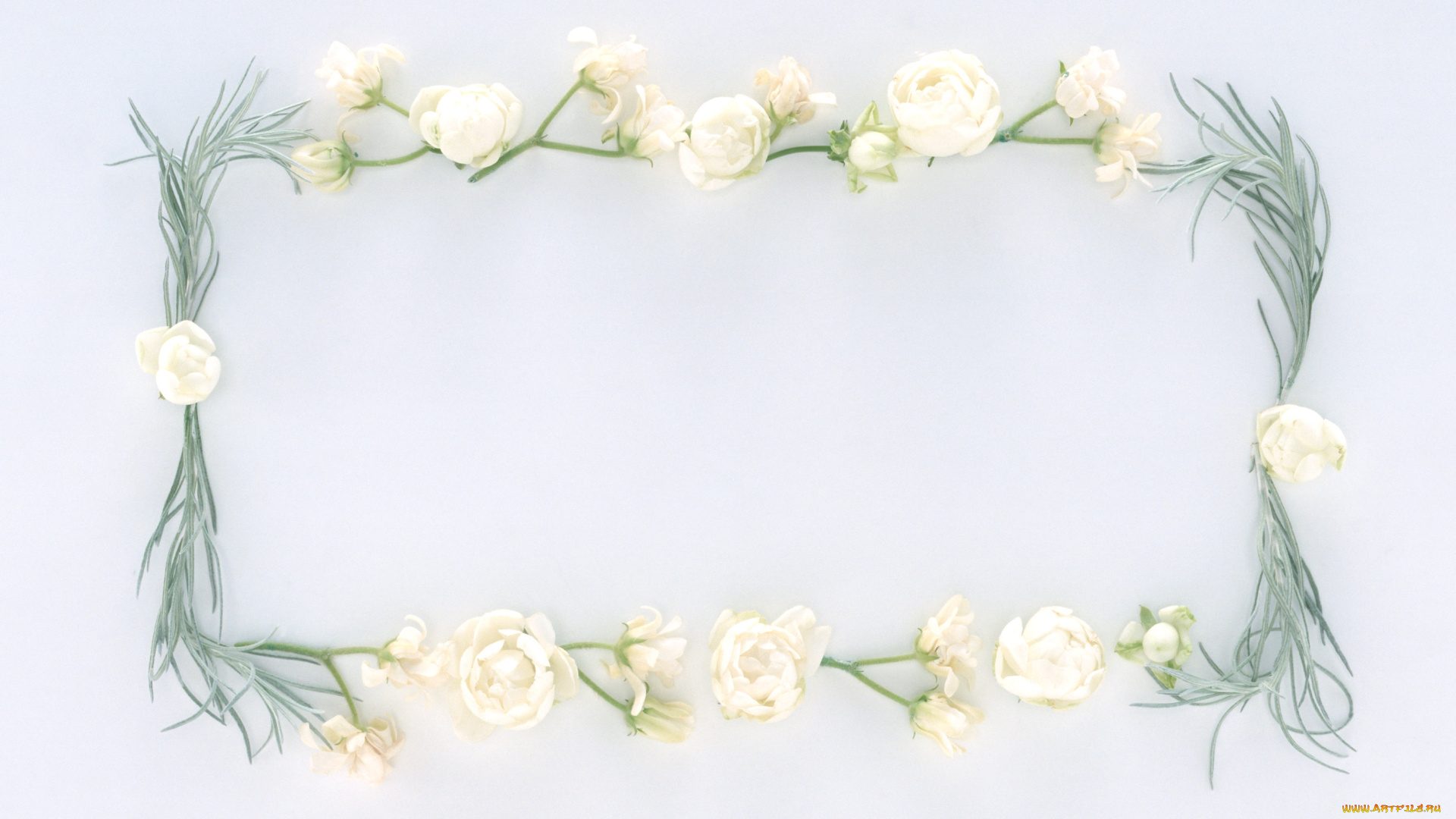 цветы, разные, вместе, бутоны